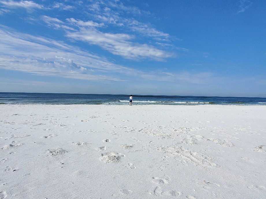 Visit Shell Island Panama City Beach Fl