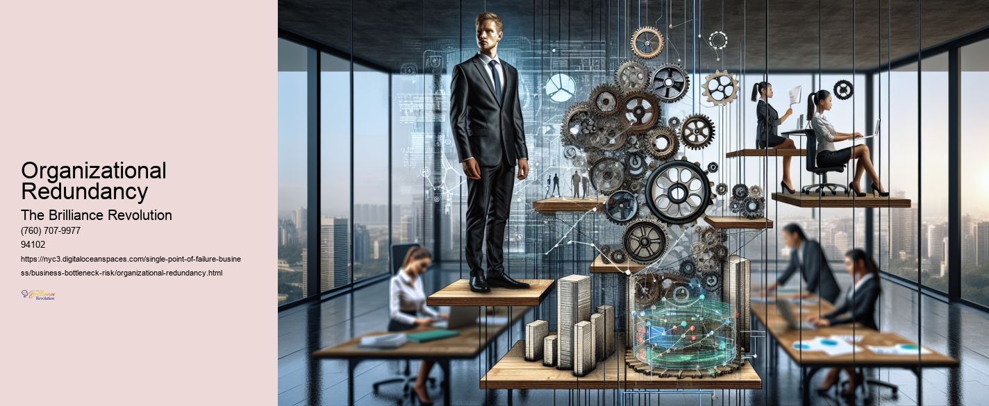 Organizational Redundancy