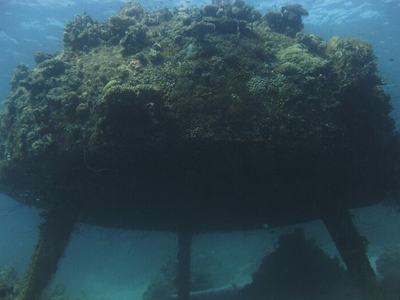Jacques Cousteau - pre-continent IIII