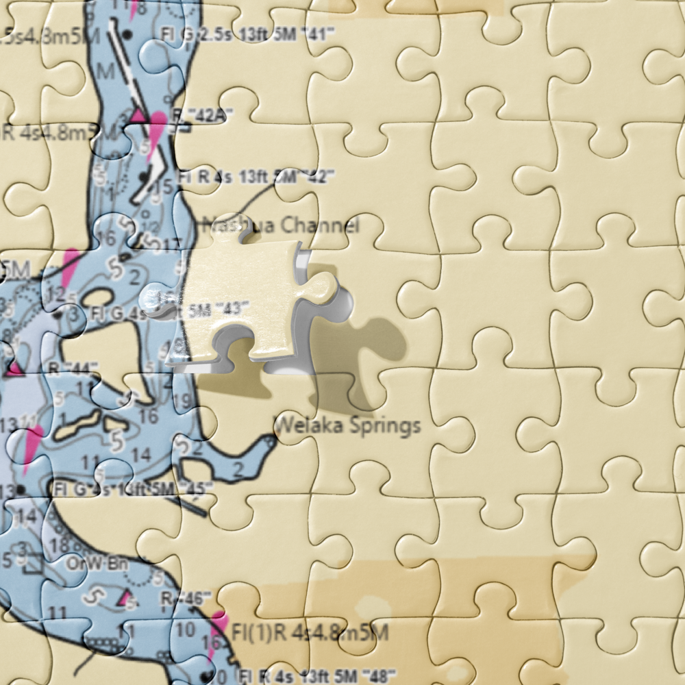 Andersen's Lodge (Crescent City, FL) NOAA Chart Jigsaw Puzzle 