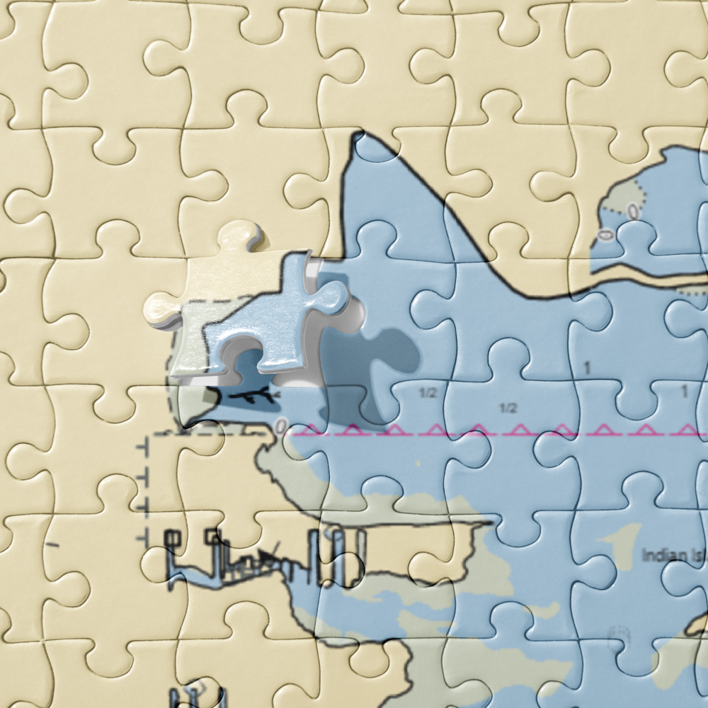 Lake & Trail Power Sports (Erie, MI) NOAA Chart Jigsaw Puzzle 