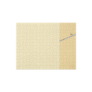 Forest View Marina (Arlington Heights, IL) NOAA Chart Jigsaw Puzzle