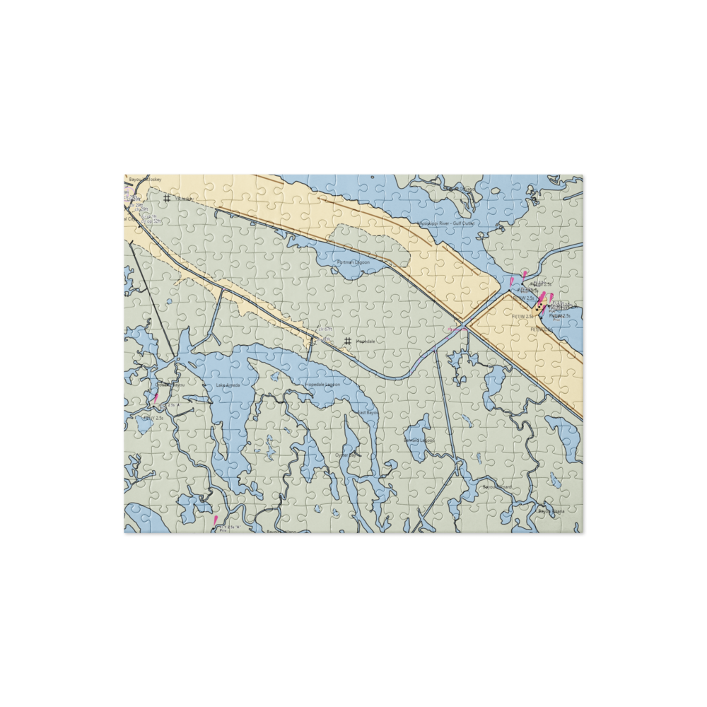 Pips Boat Launch (Saint Bernard, LA) NOAA Chart Jigsaw Puzzle 