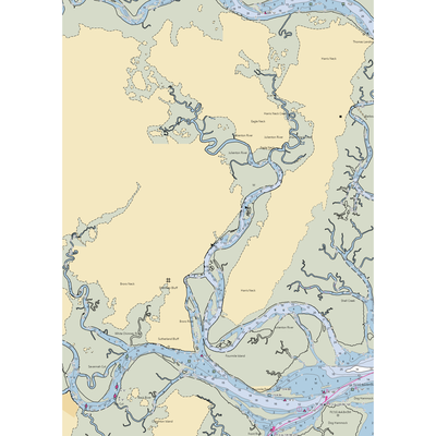 Dallas Bluff Marina and Campground (Townsend, GA) NOAA Chart  Gaming Mouse Pad