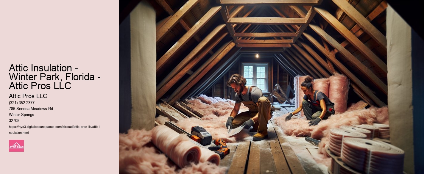 Attic Insulation - Winter Park, Florida - Attic Pros LLC