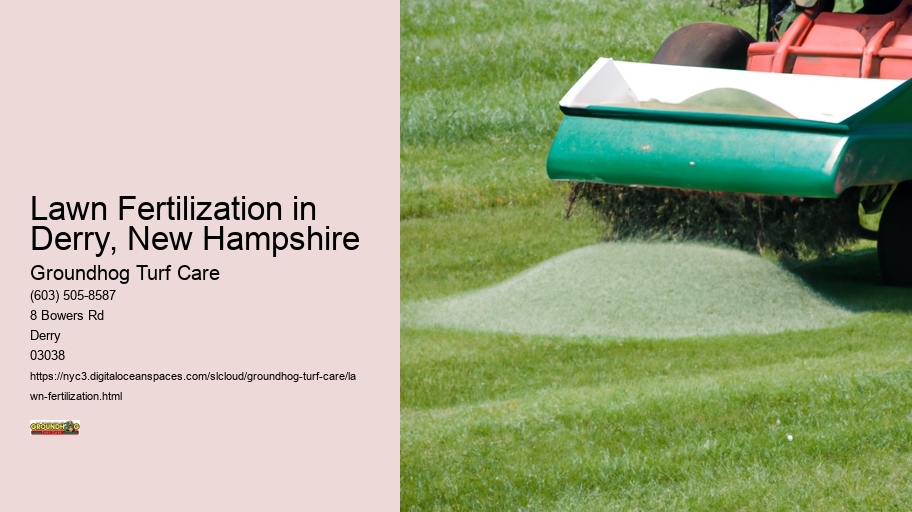 Lawn Fertilization in Derry, New Hampshire