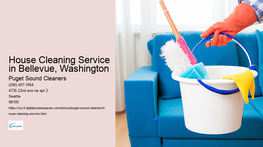 House Cleaning Service in Bellevue, Washington