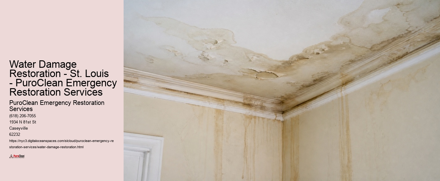Water Damage Restoration - St. Louis - PuroClean Emergency Restoration Services