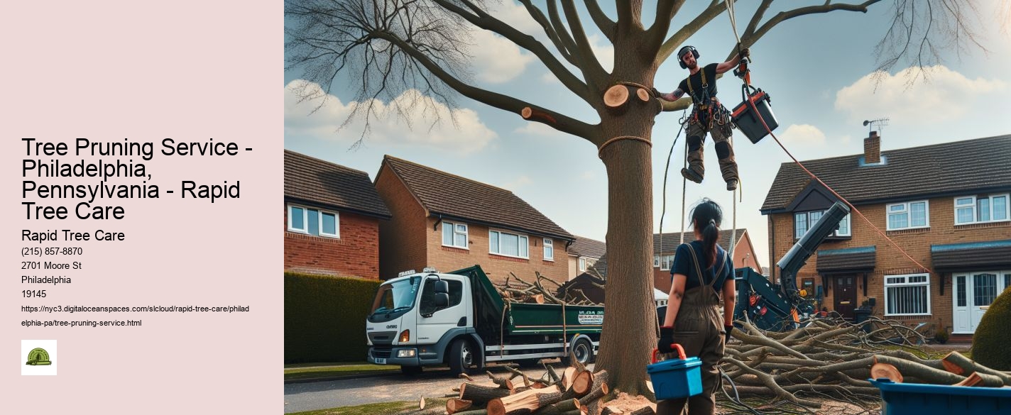 Tree Pruning Service - Philadelphia, Pennsylvania - Rapid Tree Care