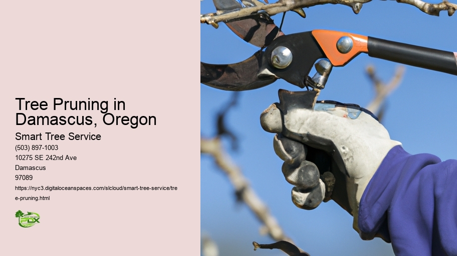 Tree Pruning in Damascus, Oregon