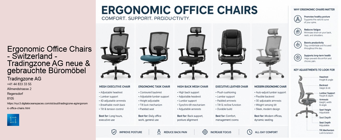Ergonomic Office Chairs - Switzerland - Tradingzone AG neue & gebrauchte Büromöbel Tradingzone AG Ergonomic Office Chairs - Switzerland - Tradingzone AG neue & gebrauchte Büromöbel