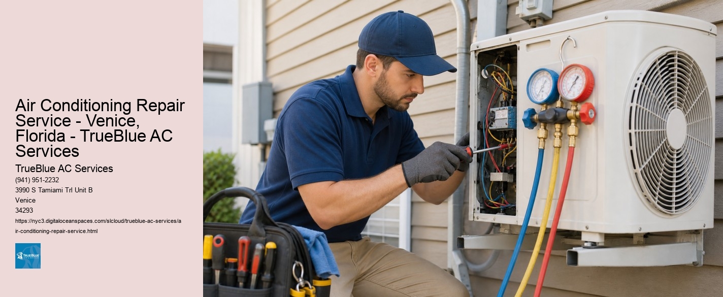 Air Conditioning Repair Service - Venice, Florida - TrueBlue AC Services TrueBlue AC Services Air Conditioning Repair Service - Venice, Florida - TrueBlue AC Services