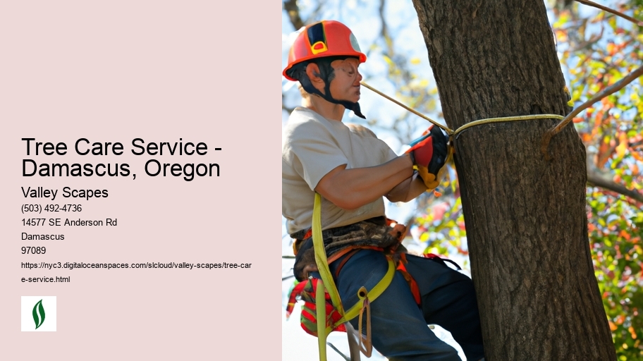 Tree Care Service - Damascus, Oregon