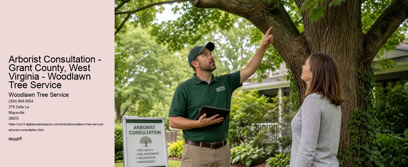 Arborist Consultation - Grant County, West Virginia - Woodlawn Tree Service