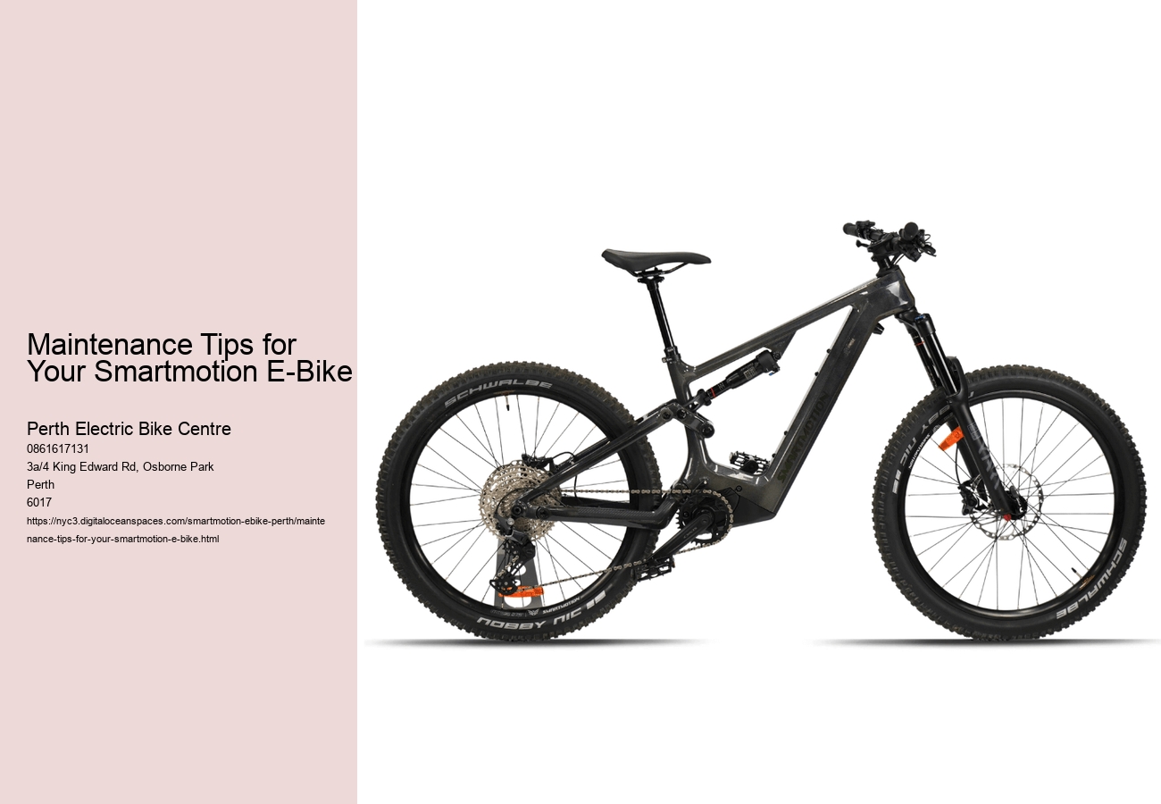 Maintenance Tips for Your Smartmotion E-Bike  