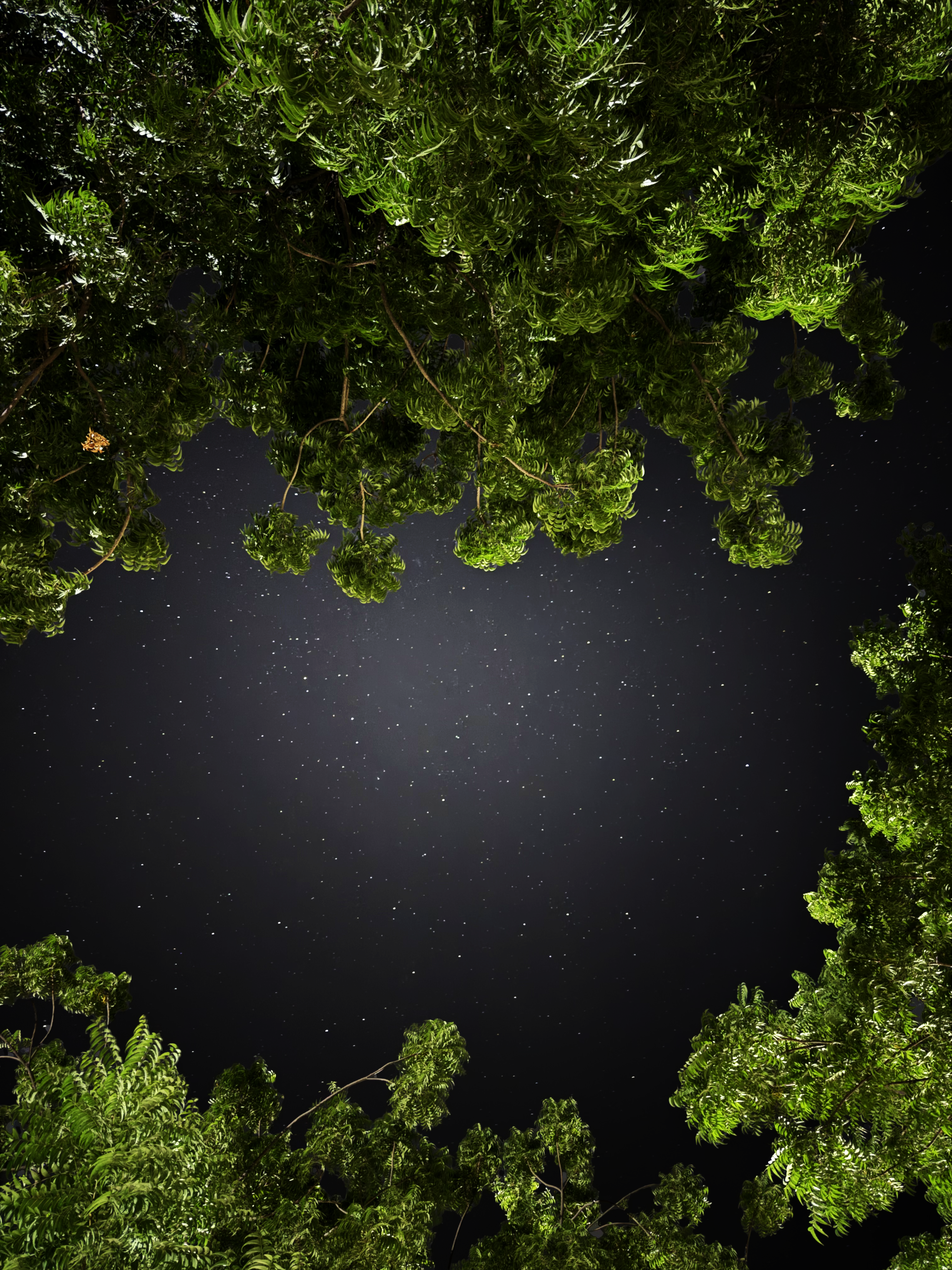 Between here and beyond
