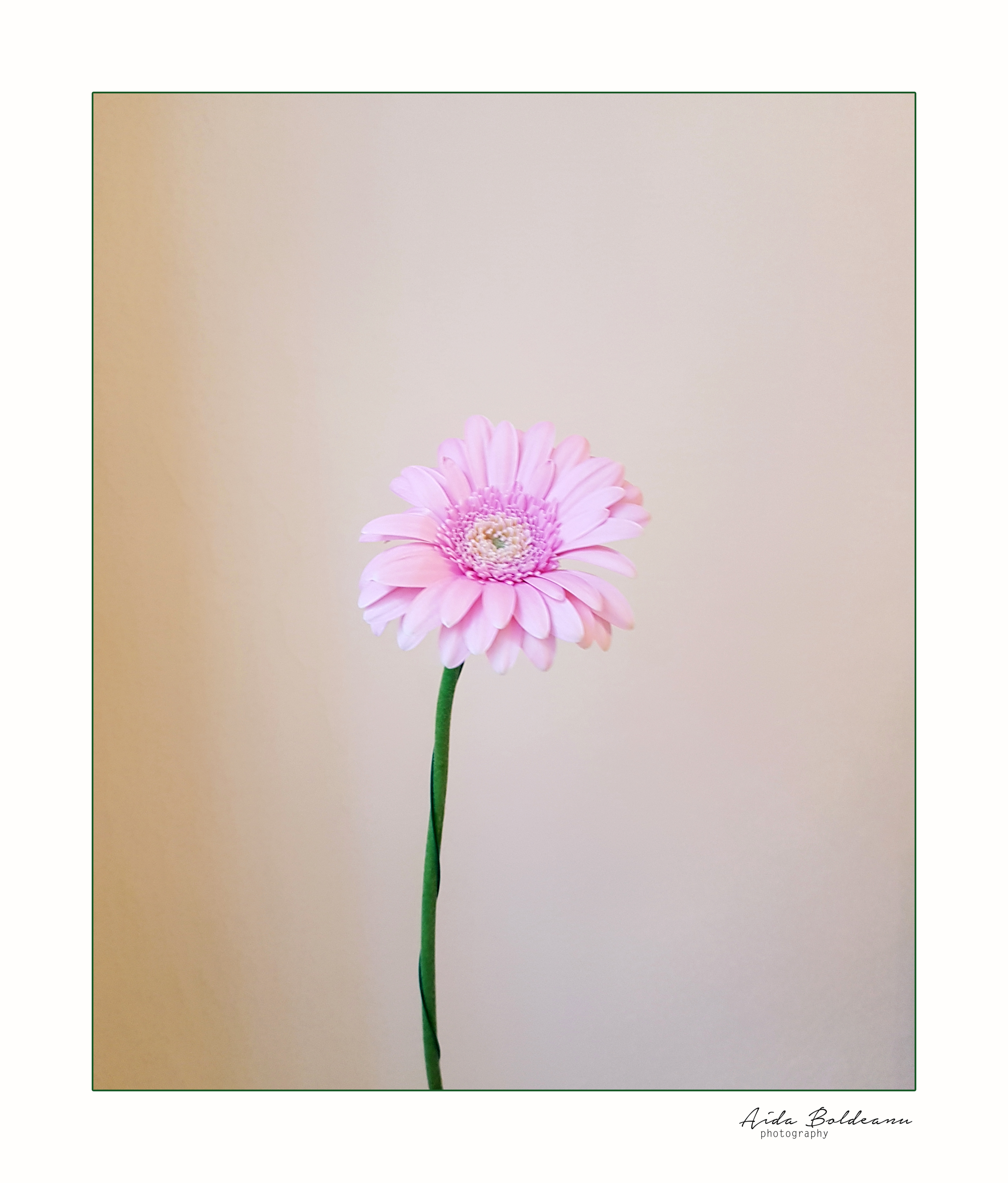 Token #59