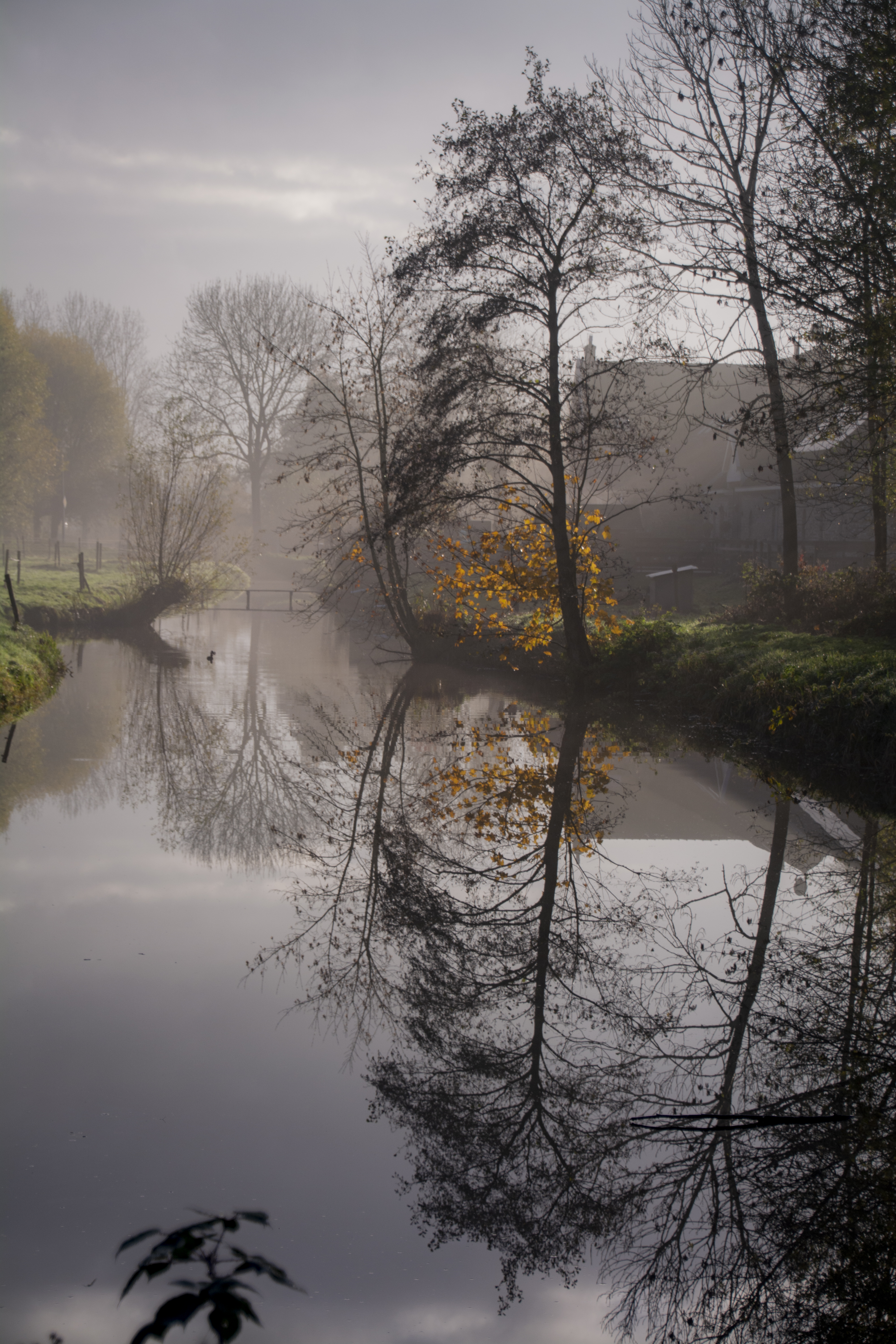 View with a Reflection