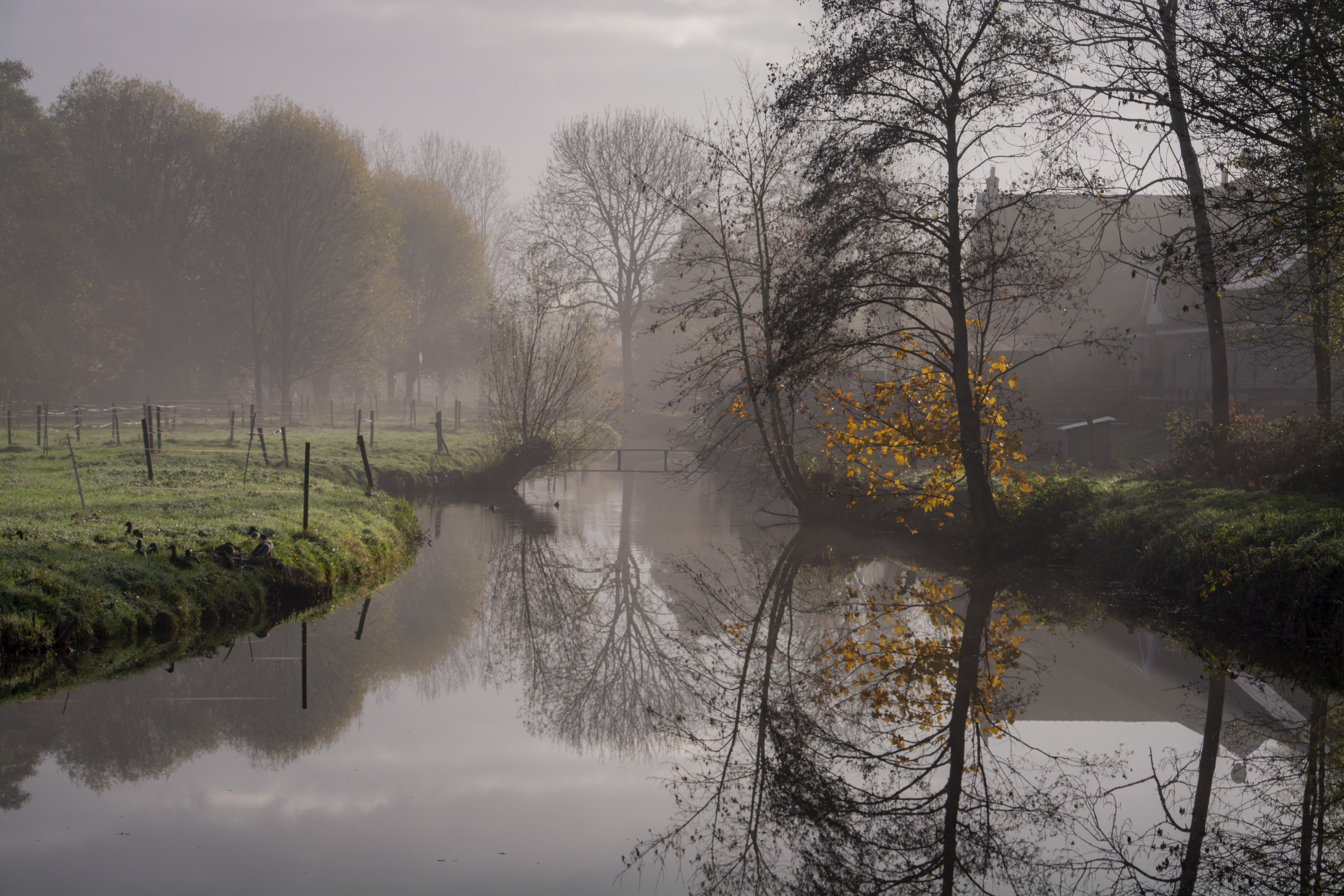 View from the Bridge