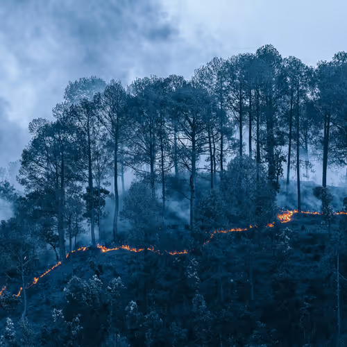 Fire Knows No Barrier