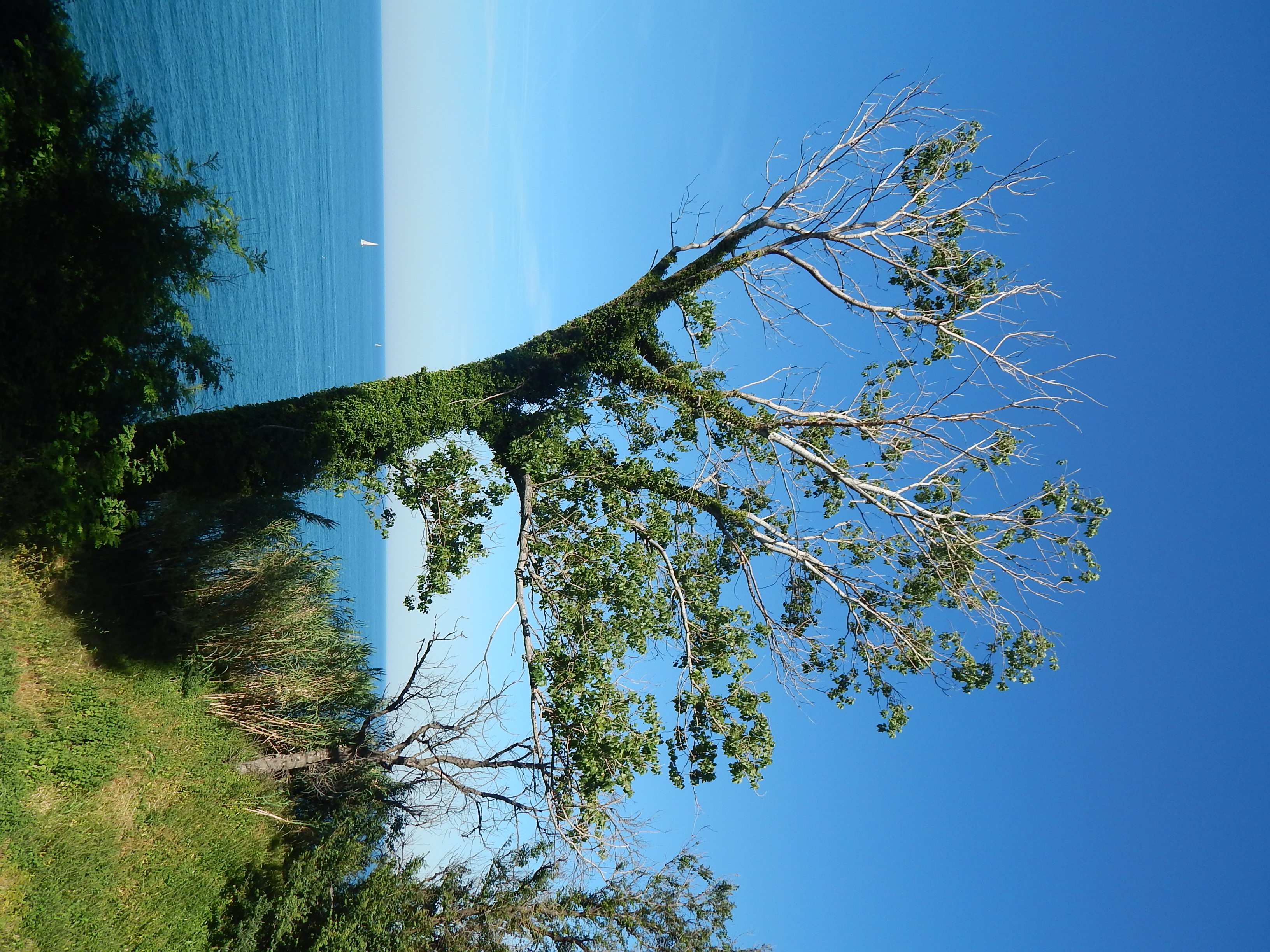 Hanging on the cliff