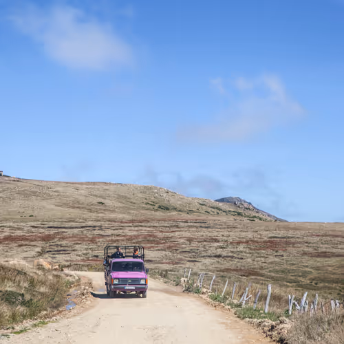 Discovery Road