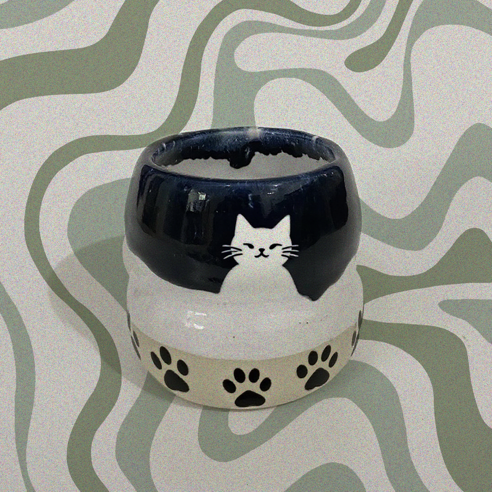 Purrfect Sips