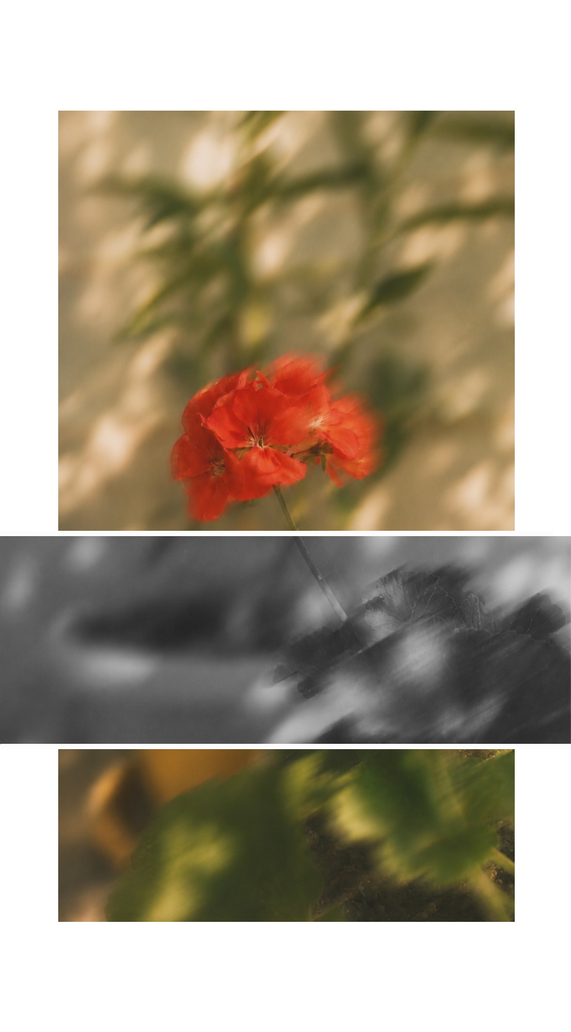 Soft Echoes