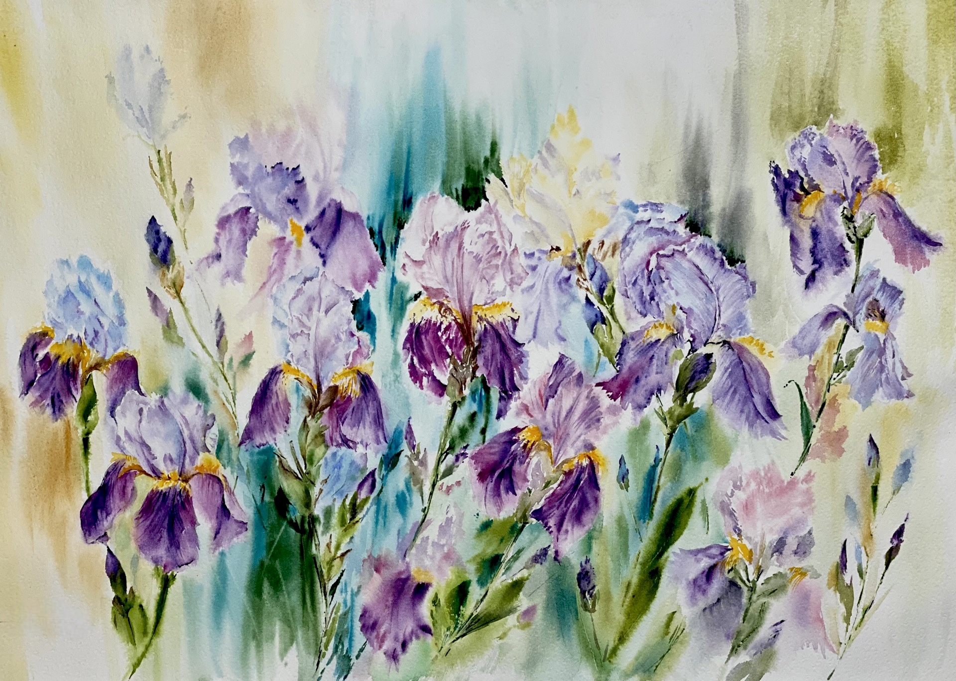 dancing irises💜