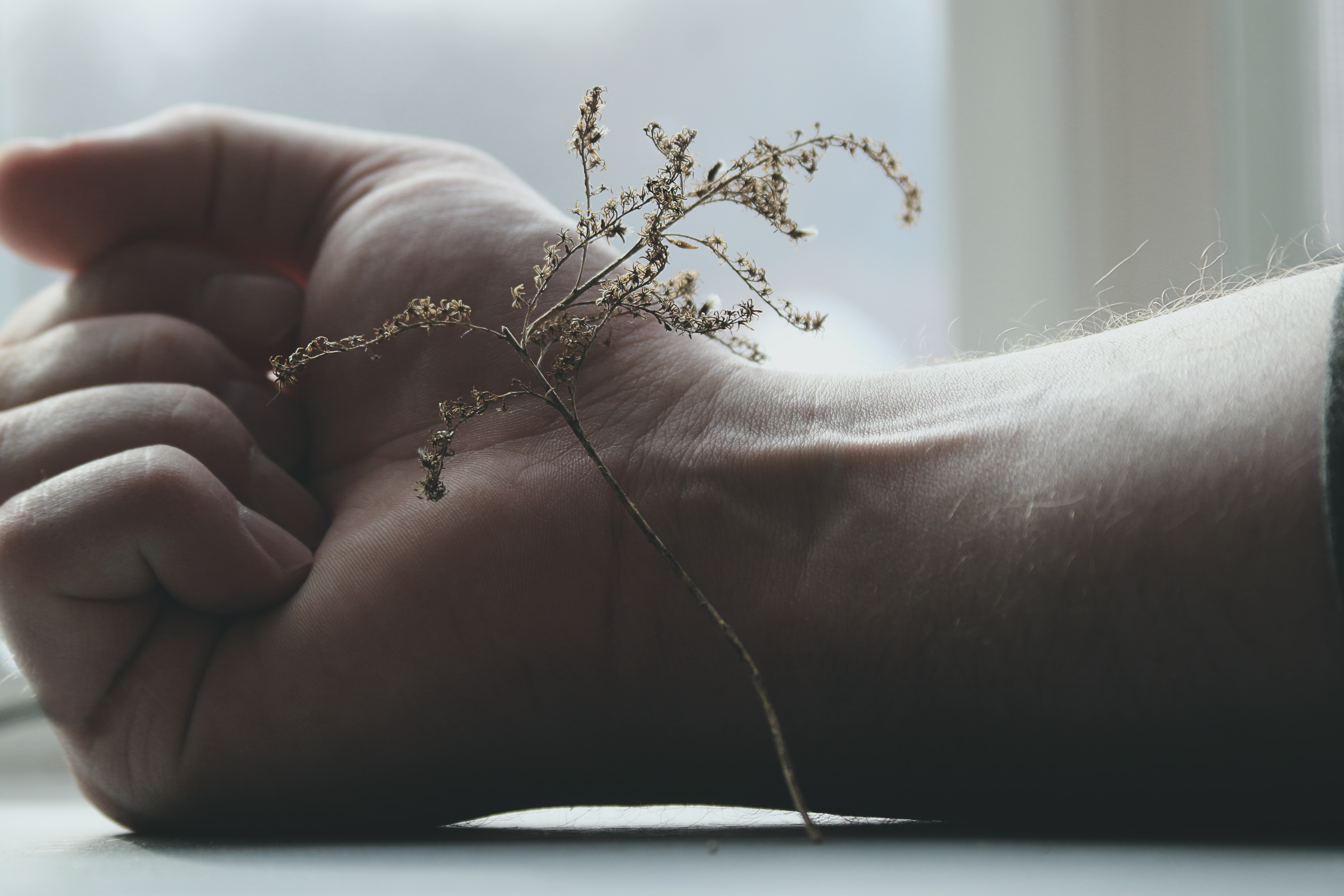_softness