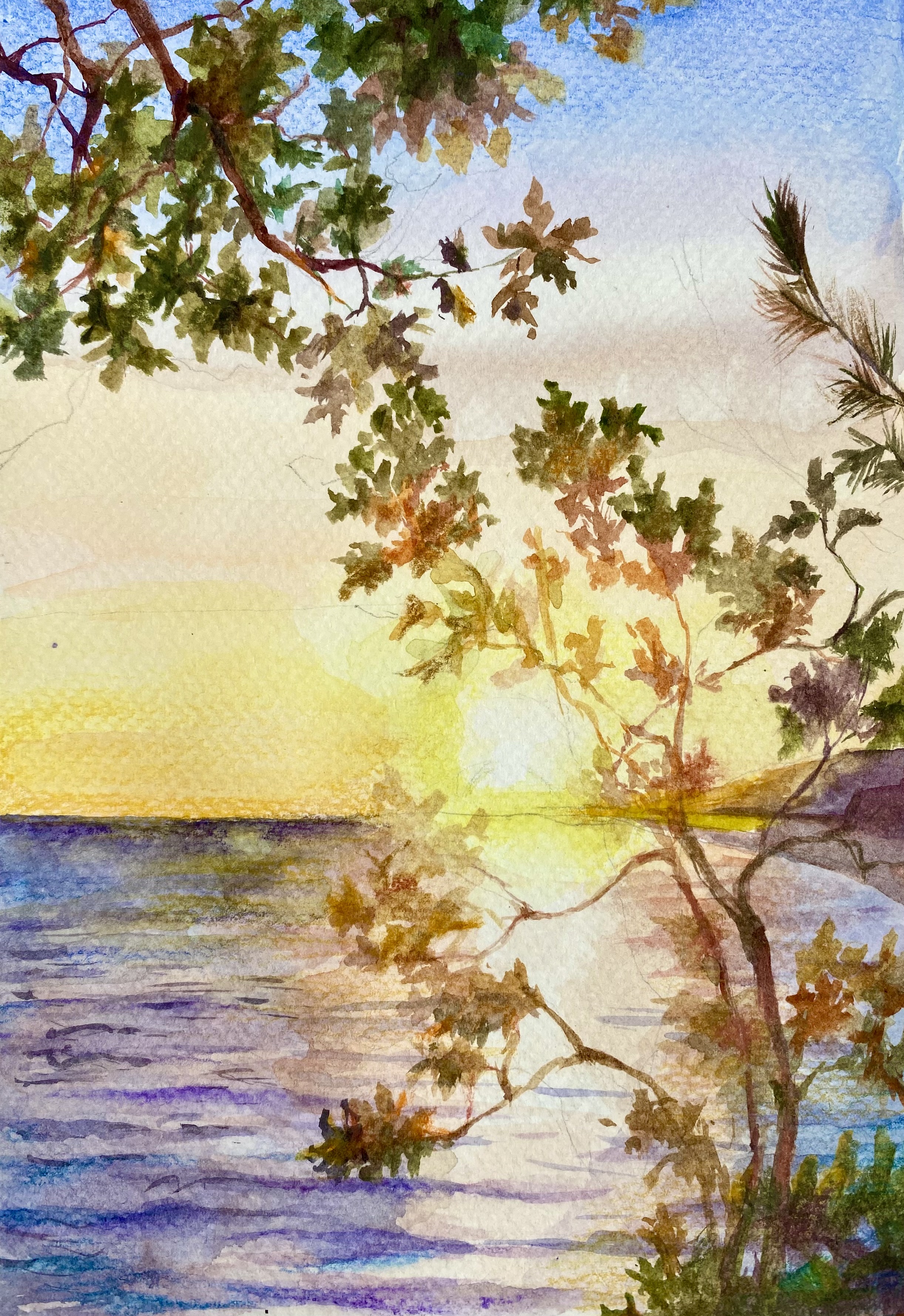 Sea sunset