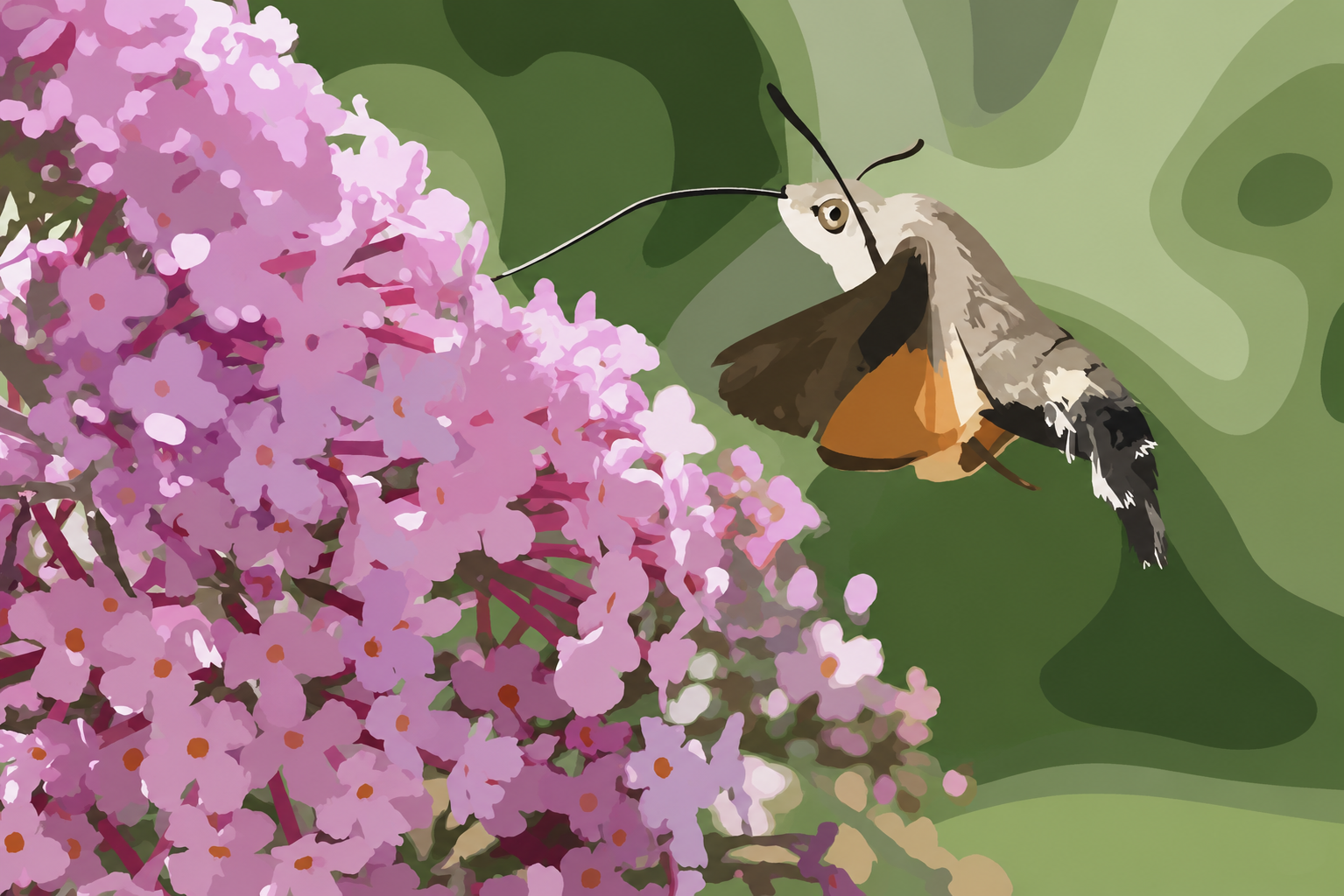 13. Macroglossum stellatarum