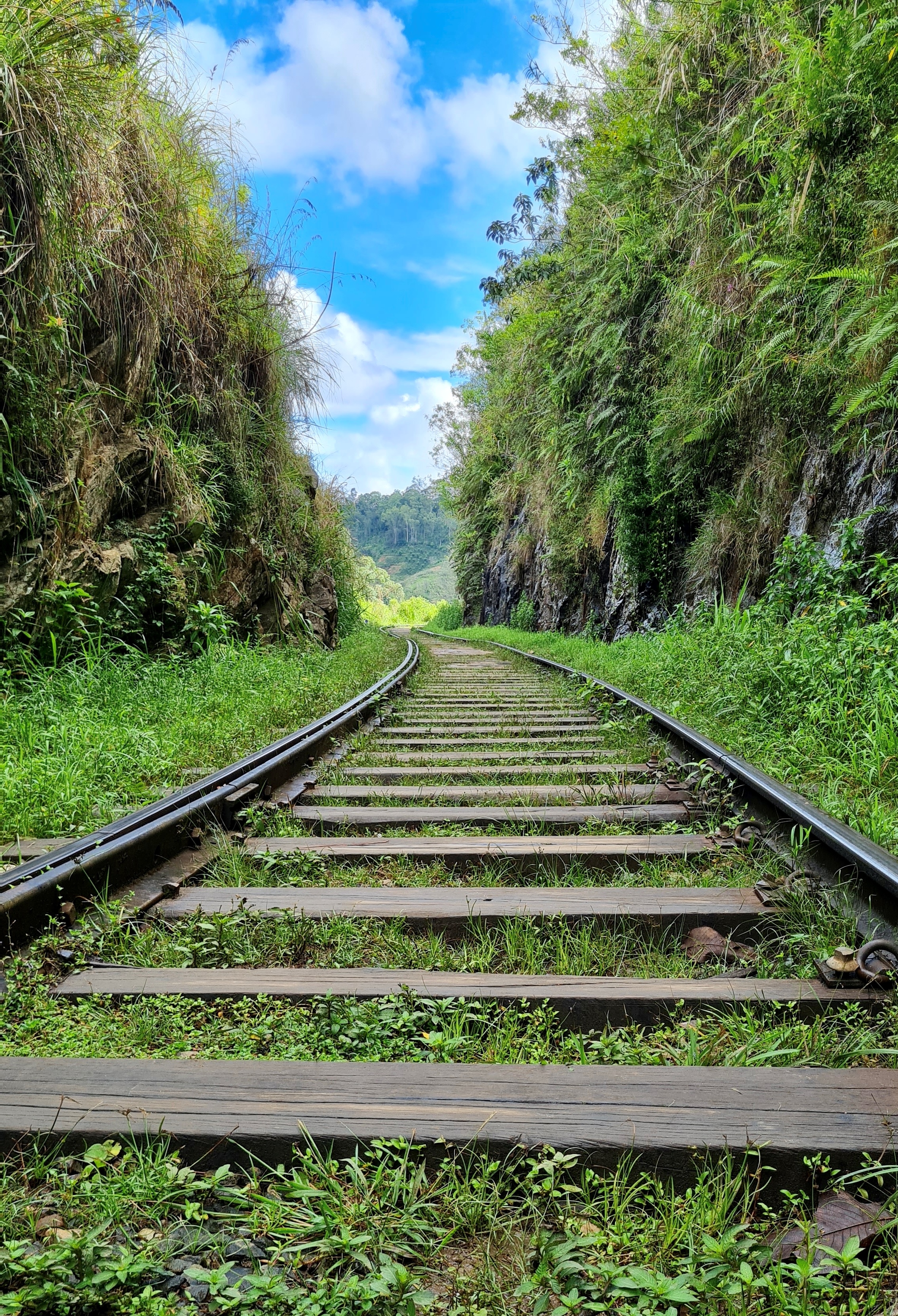 Road