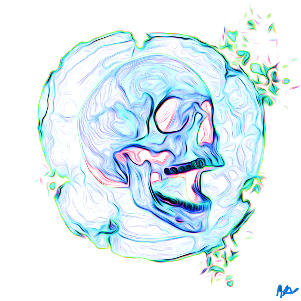 Skull 1