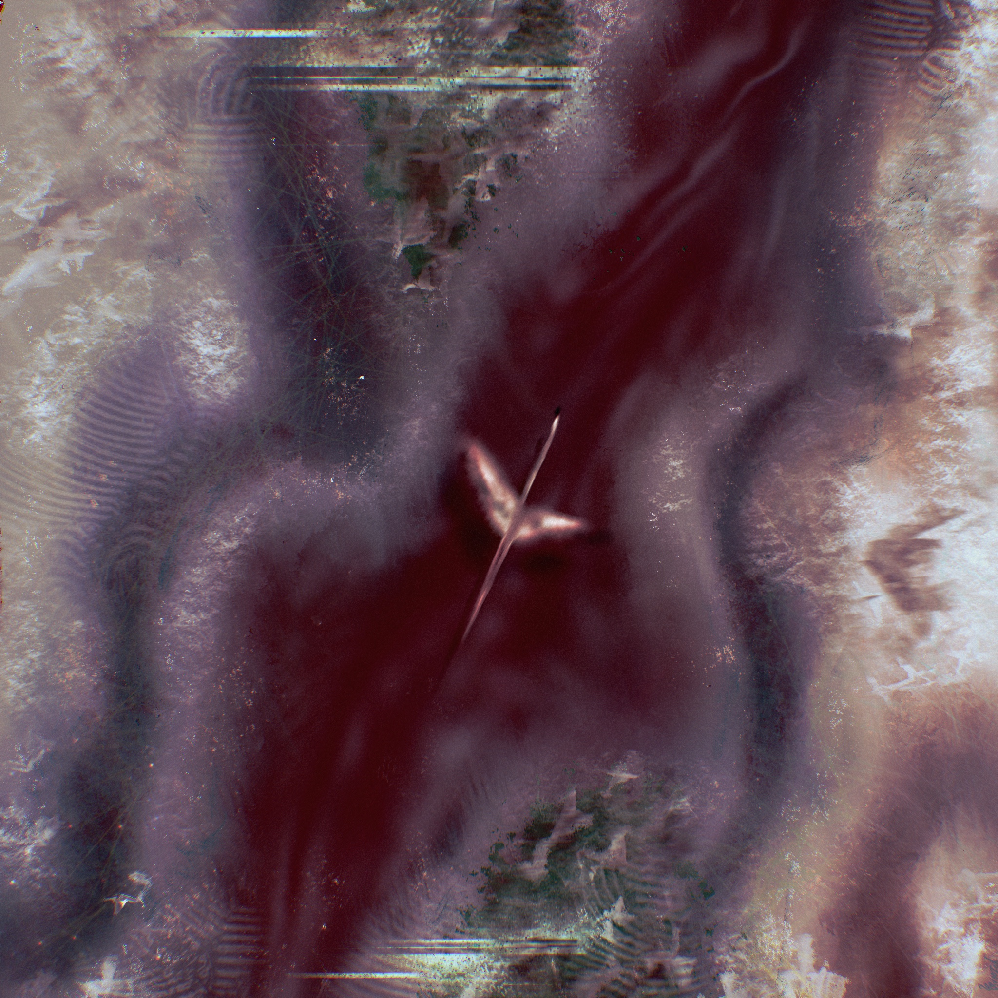 Blood-path