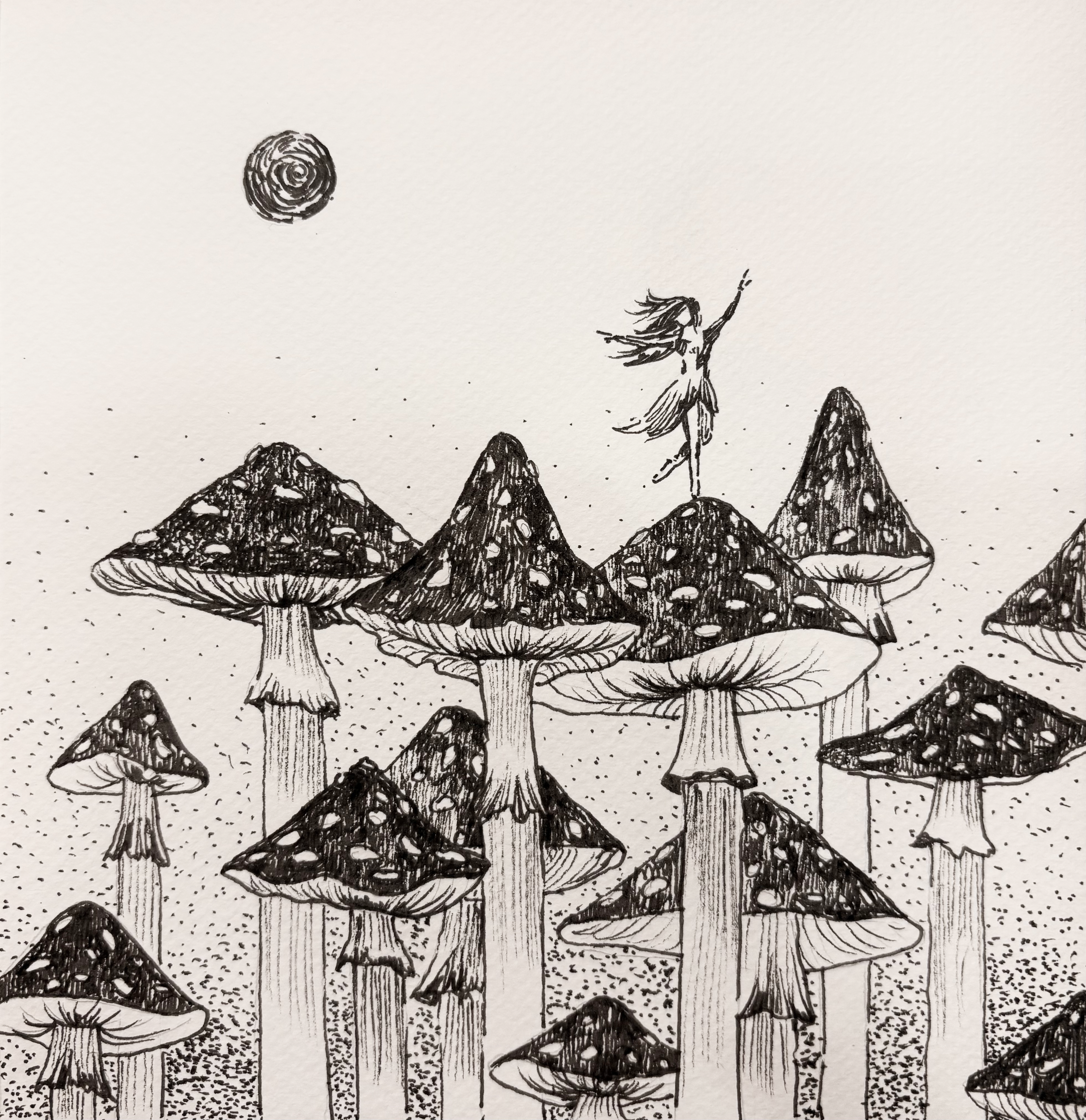Fly agaric
