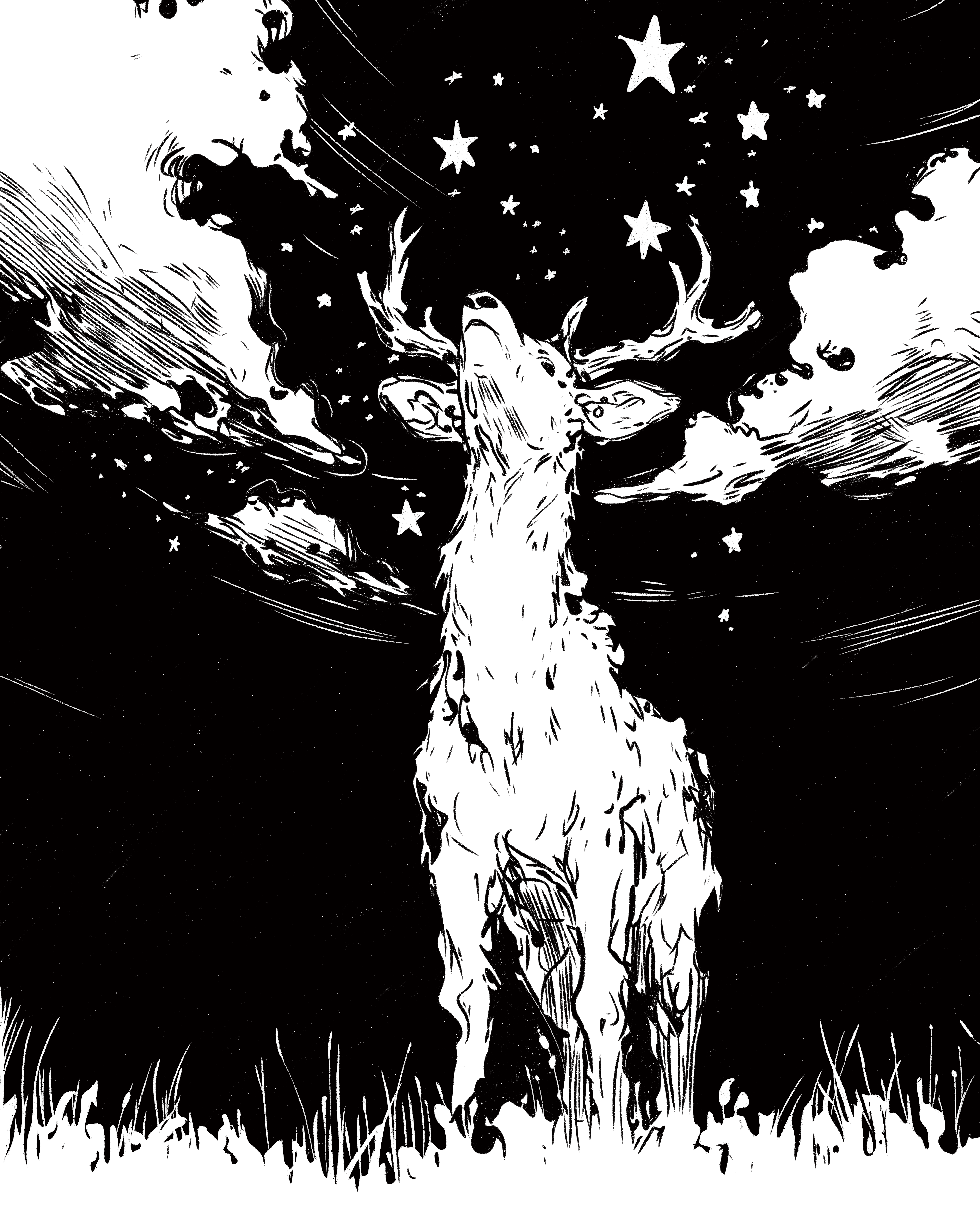 Deer - Day 5