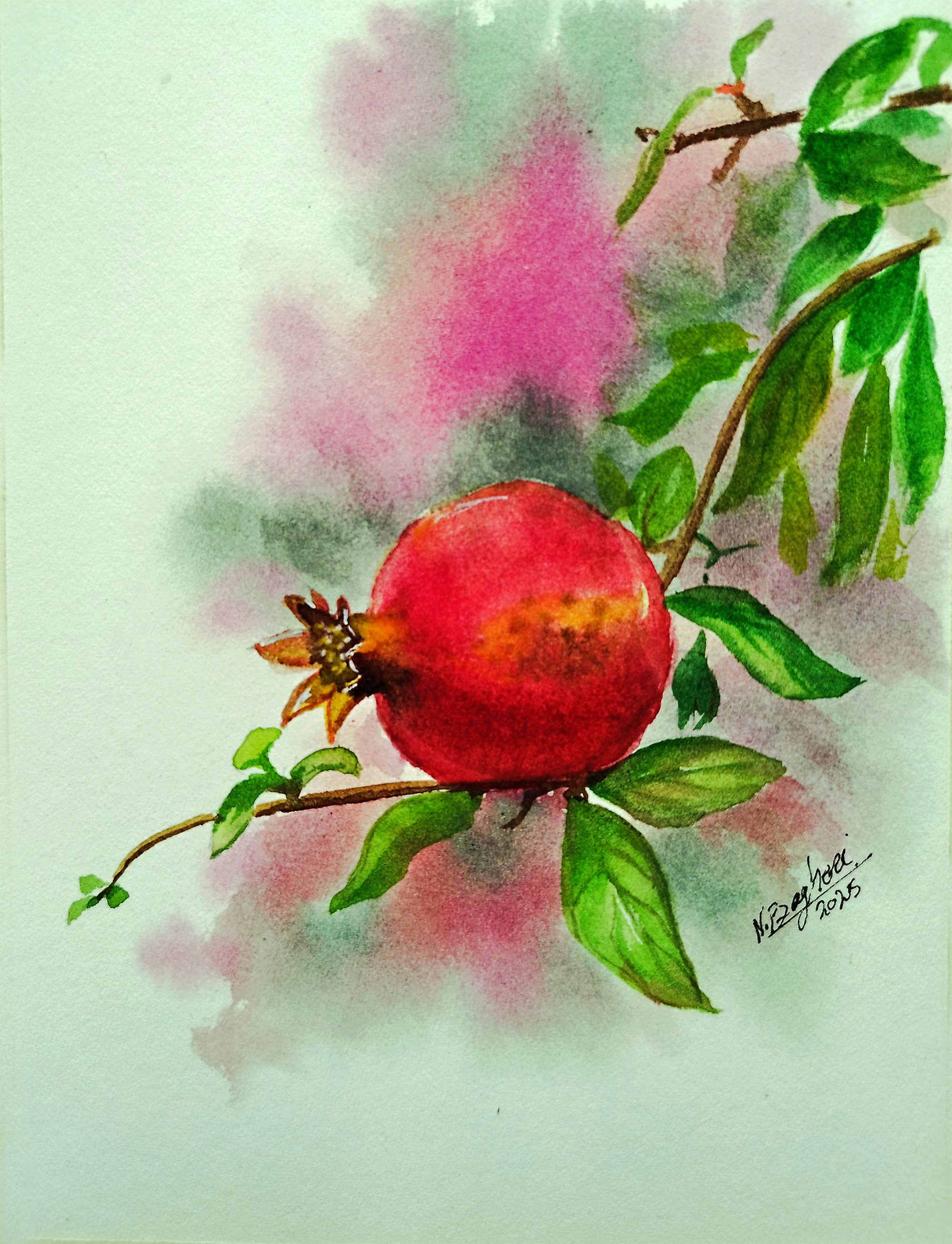 Pomegranate