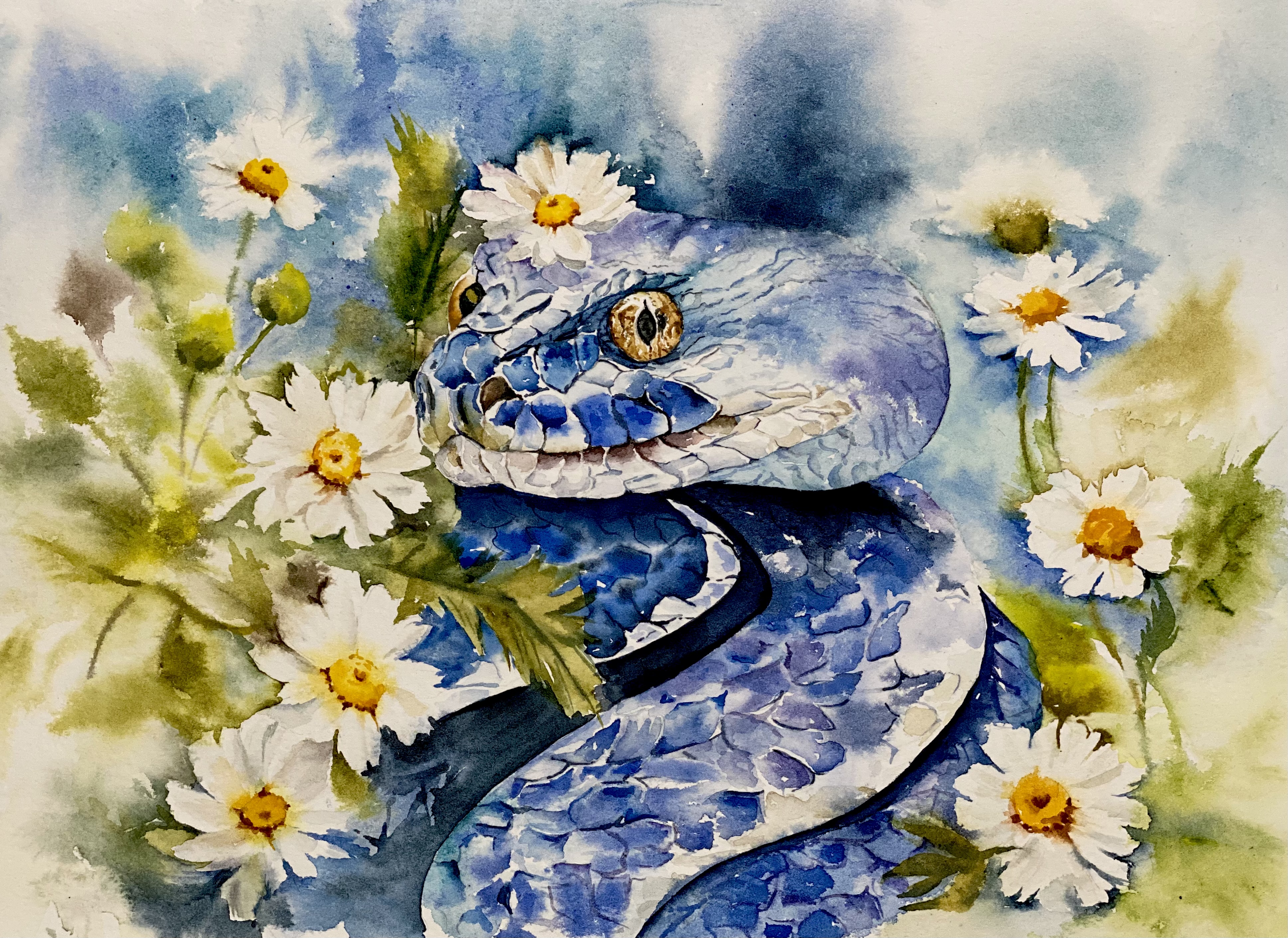 Snake & Chamomiles
