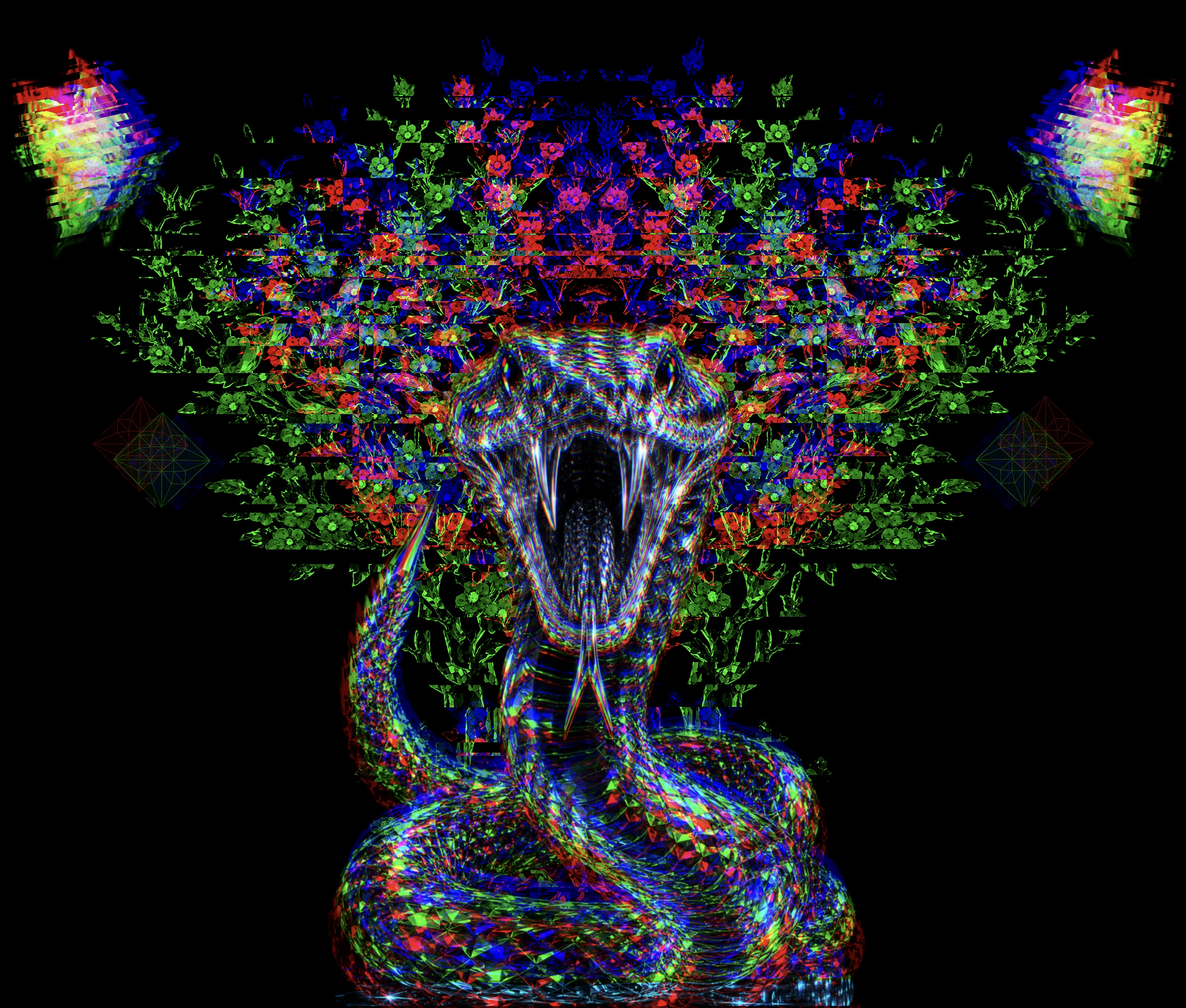 Between Skin and Wings
