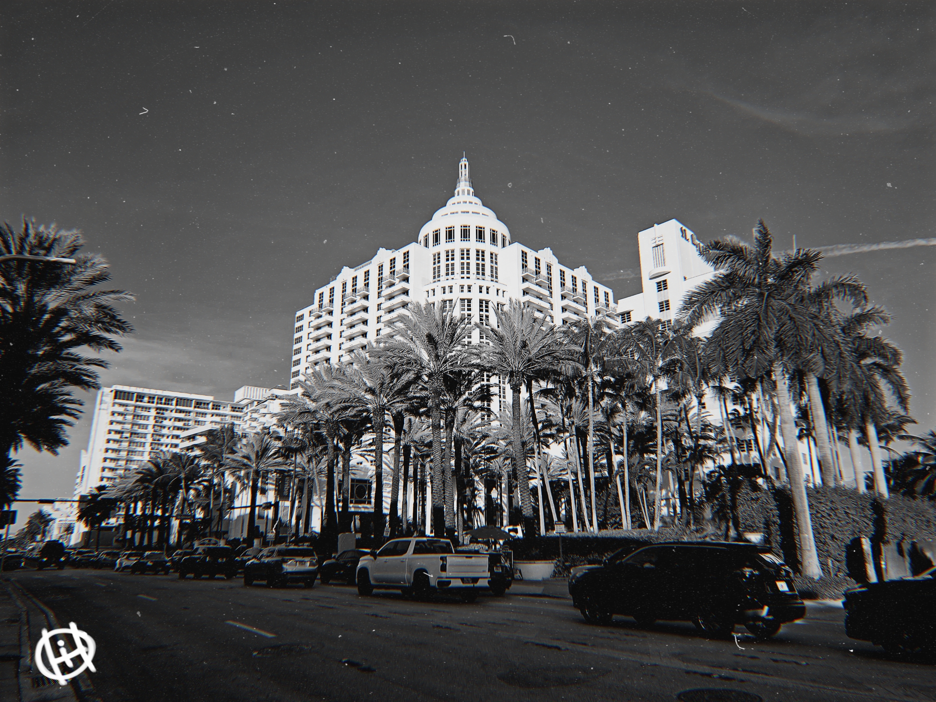 Palm-Crowned Grandeur
