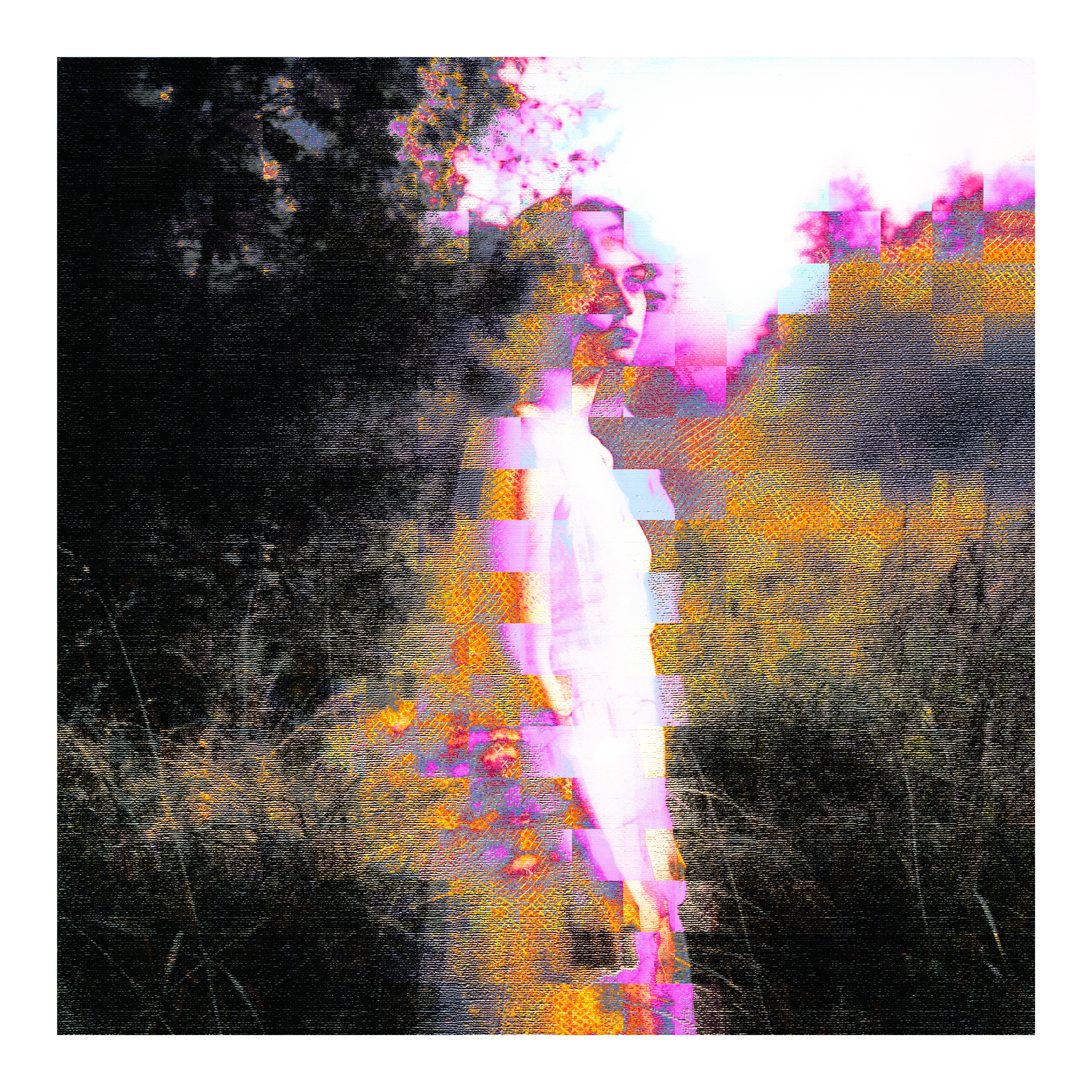 At the edge of the garden