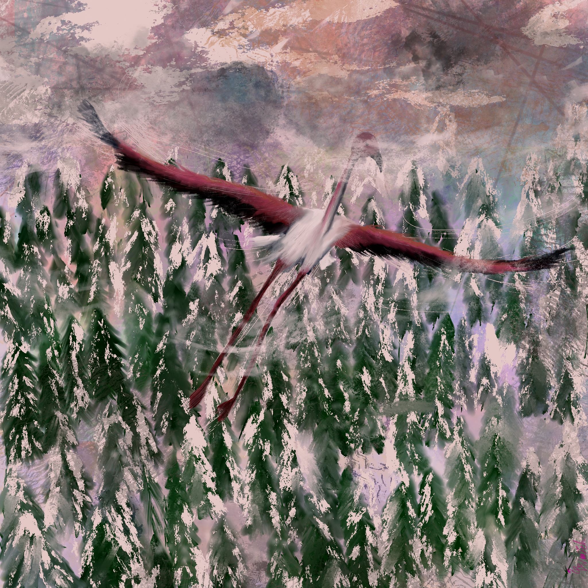 Skyward