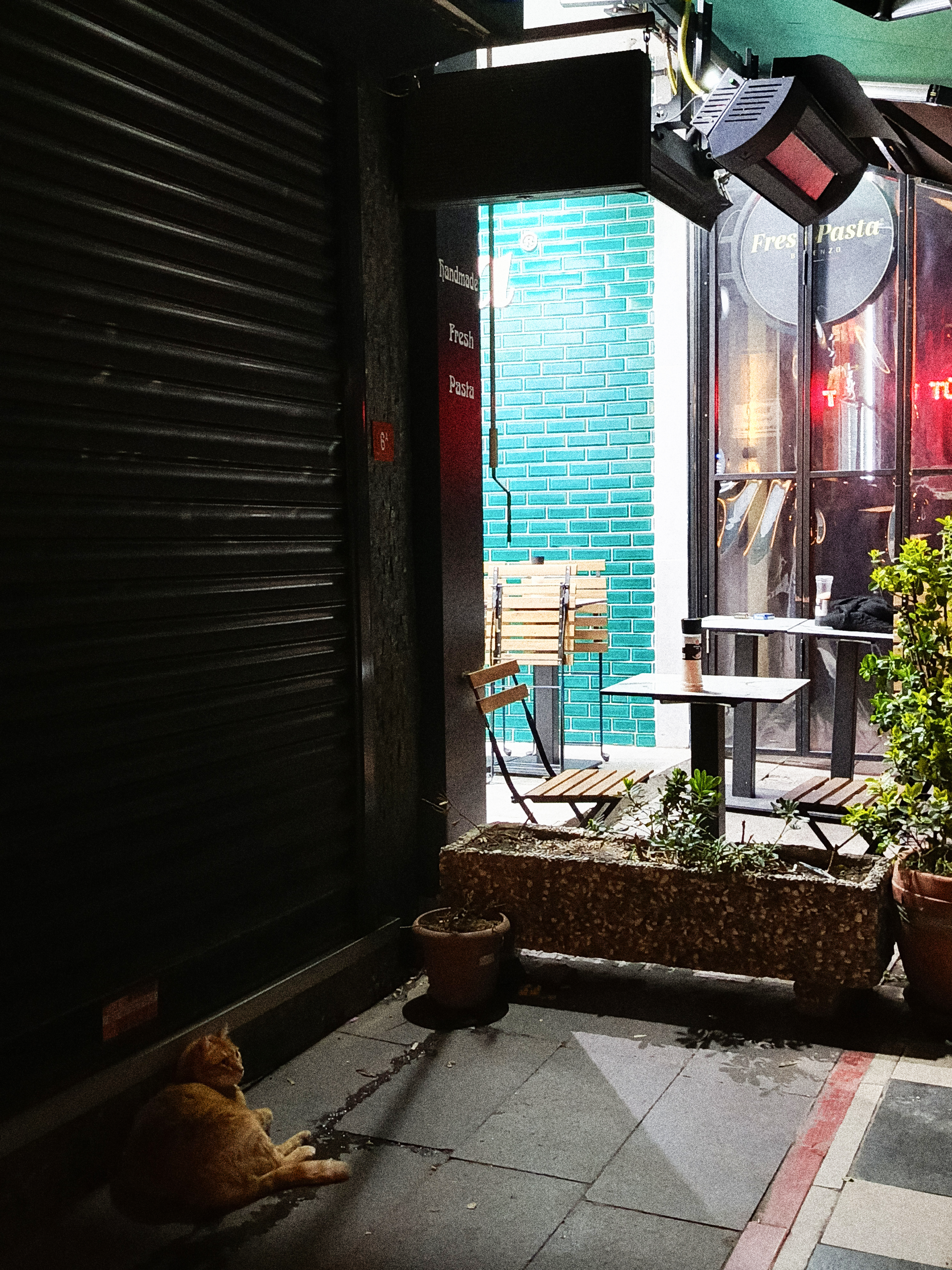 Cat and Cafe