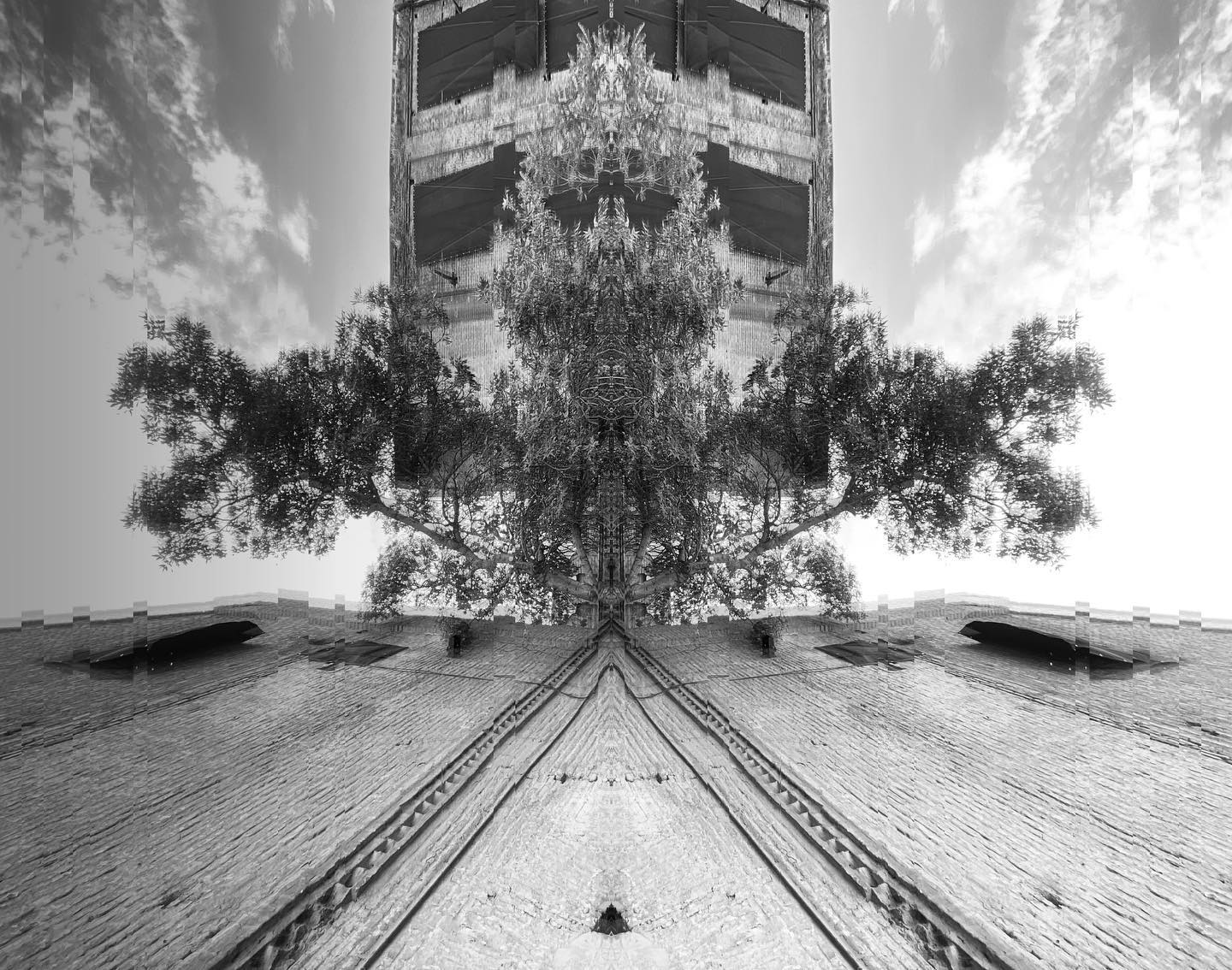 Mirror Trees 3