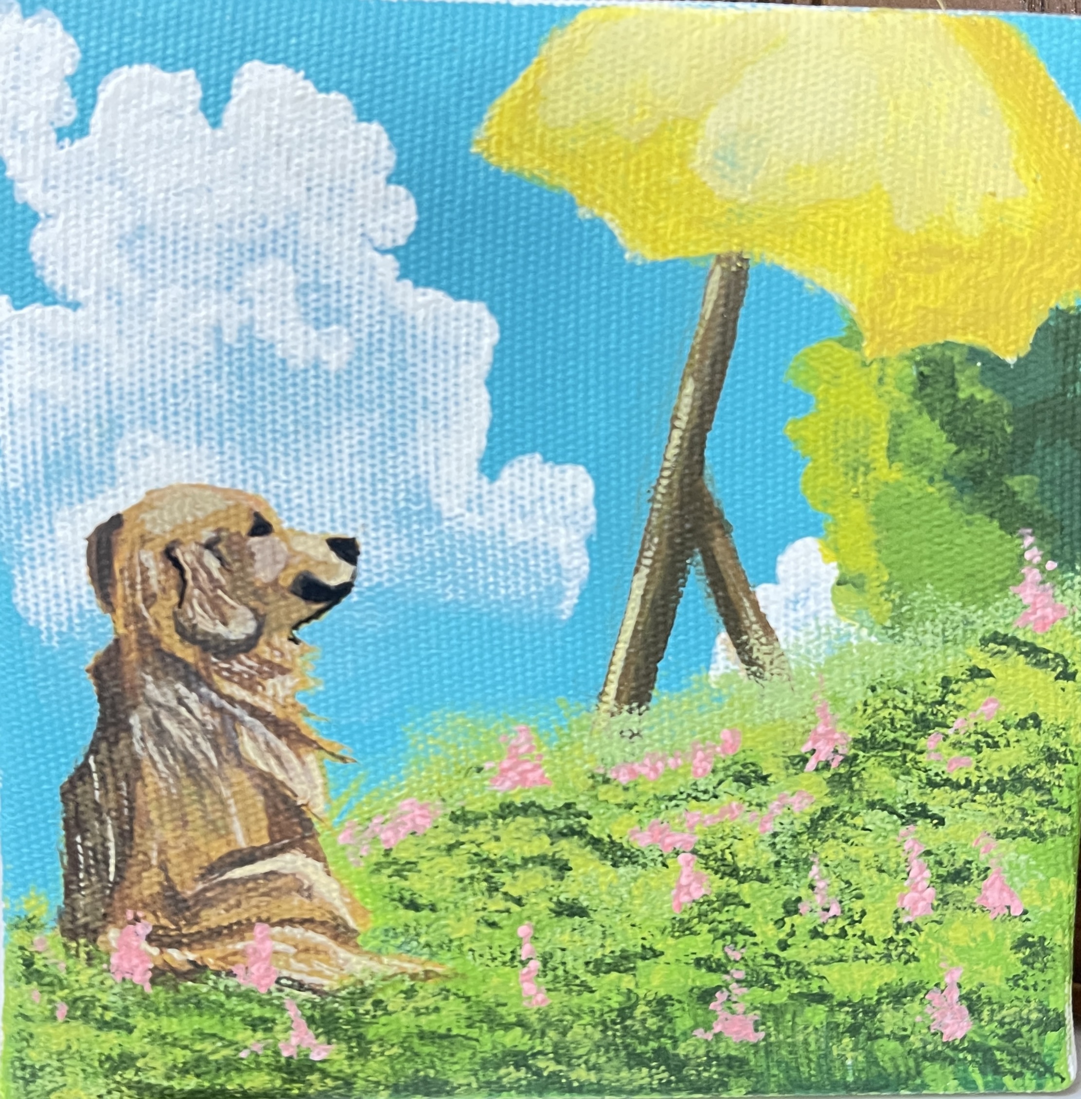 Golden daydream
