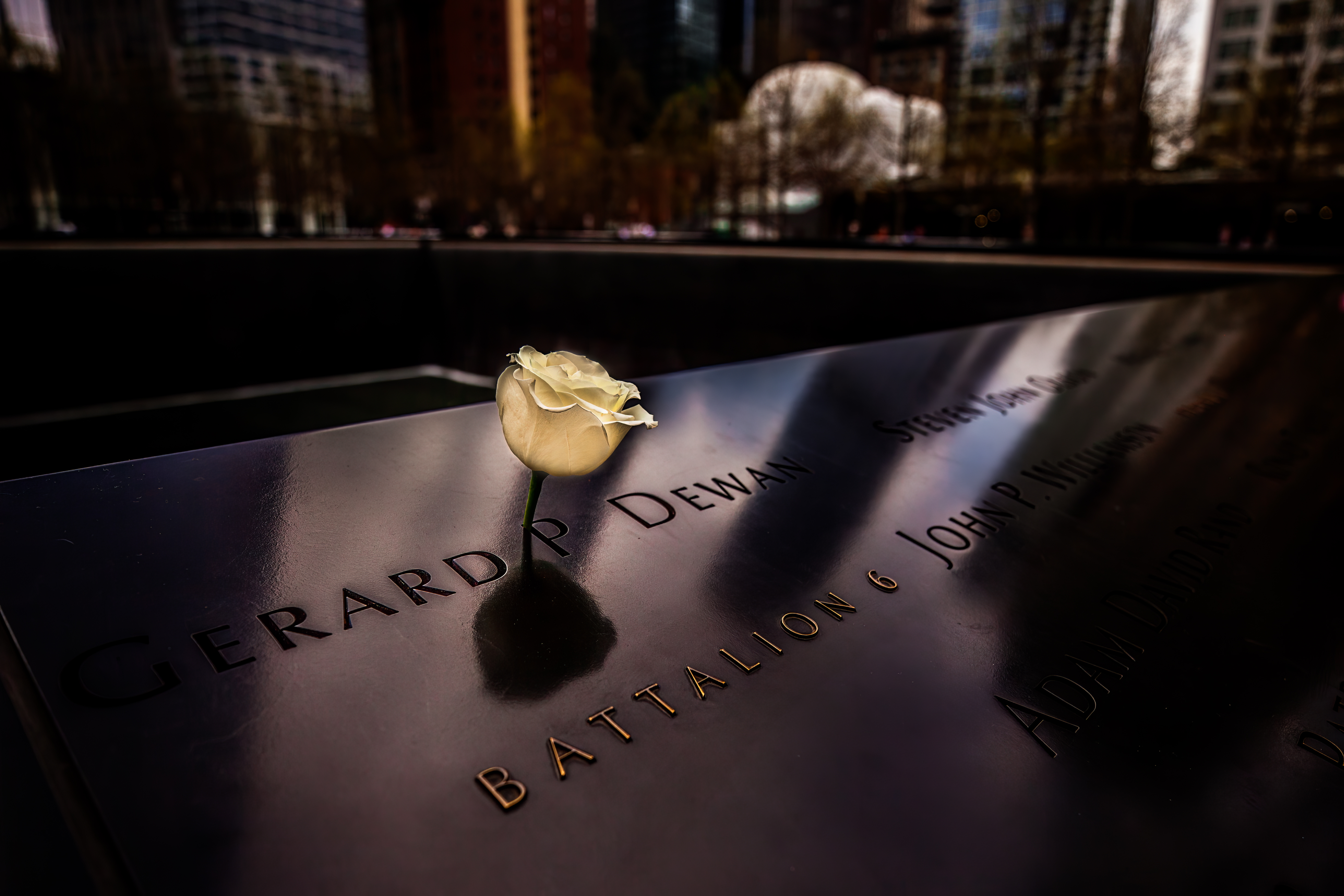 In Memoriam