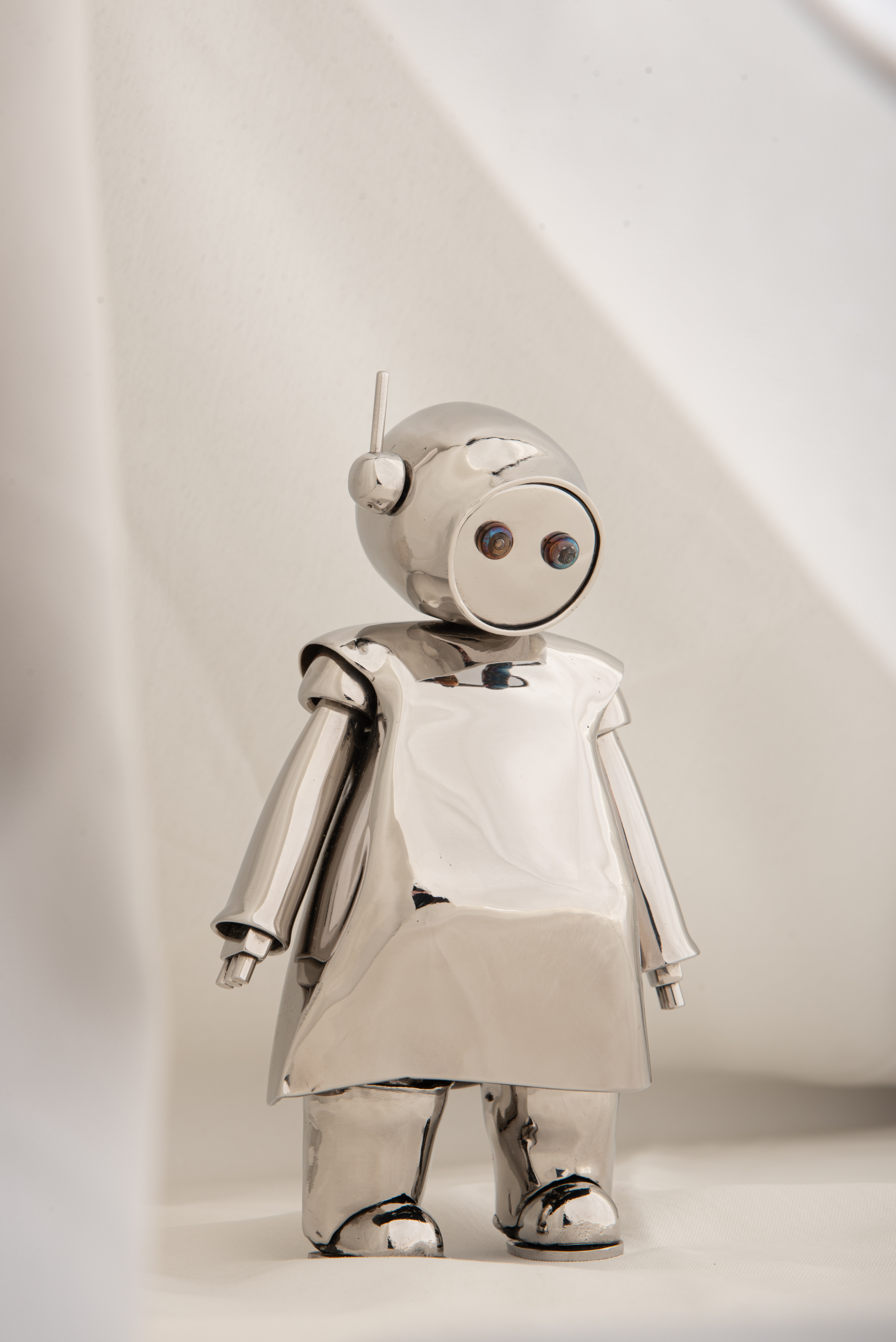 The Robot