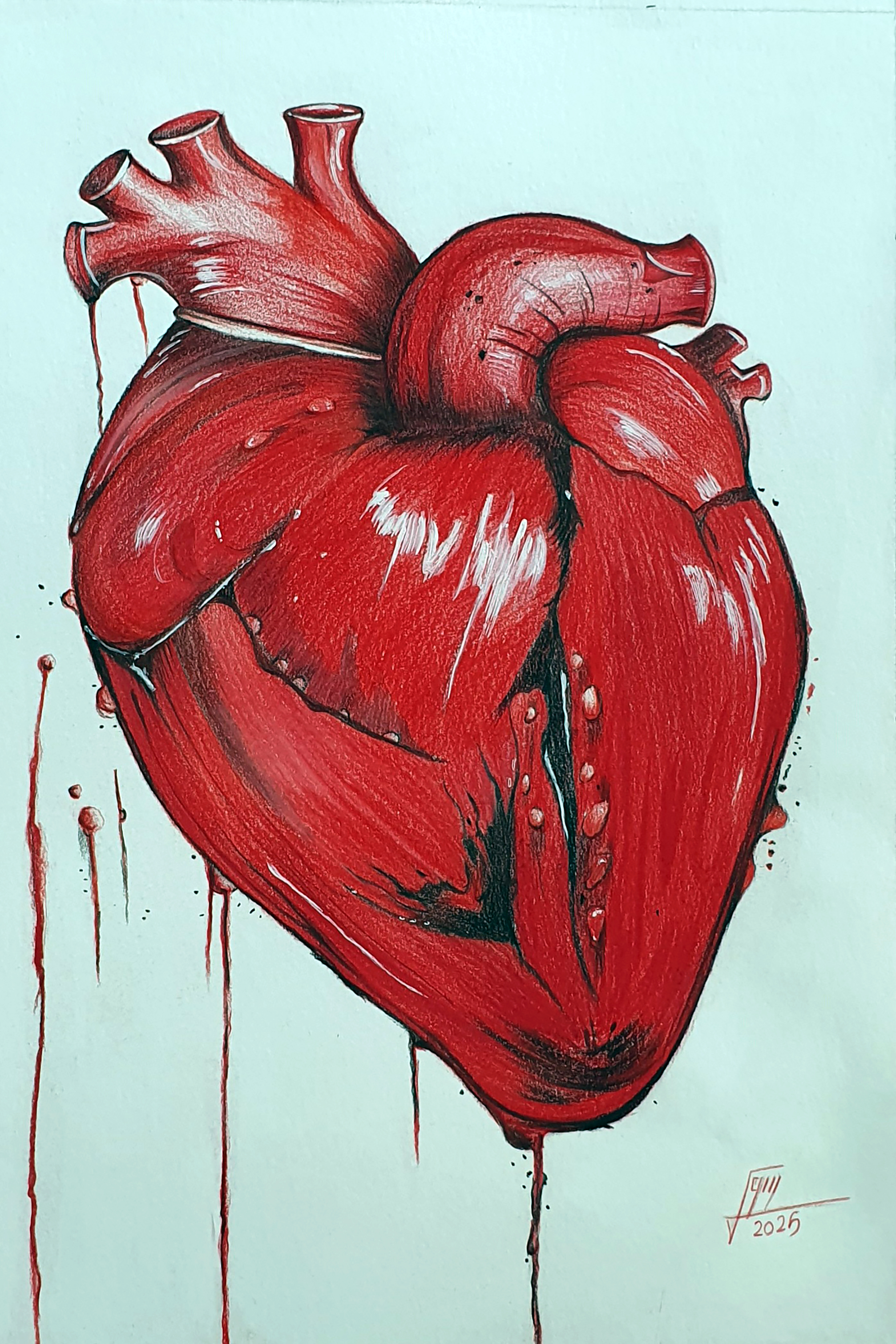 The Heart