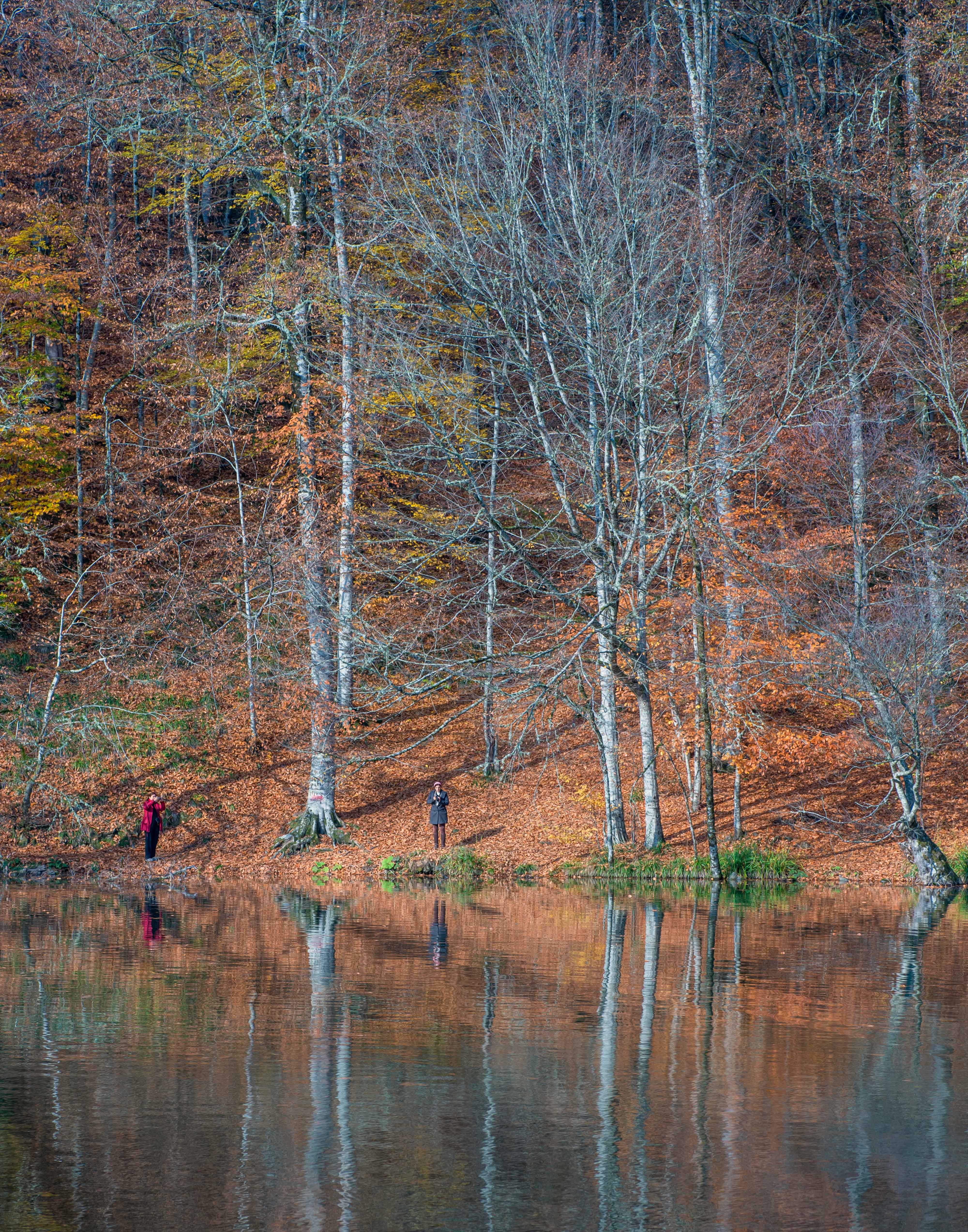 Reflection of the Autumn 1